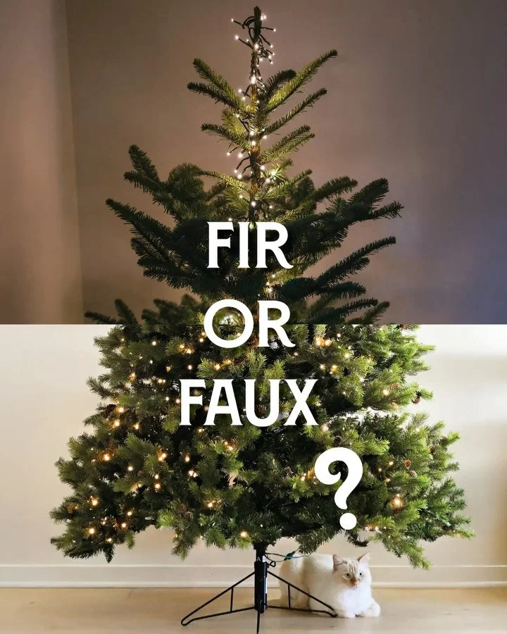 The big treekend is here! But what&rsquo;s the most sustainable Christmas tree - fir or faux? 🎄

According to research, the answer isn&rsquo;t quite that simple. The key thing to remember is the more reuse, the merrier. 

Whether you&rsquo;re diggin