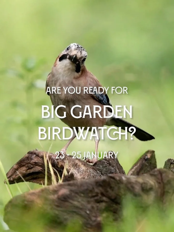 🐦&zwj;⬛ Add a boost of nature to your weekend plans 🌳

Big Garden Birdwatch has begun, and you don&rsquo;t need a garden to take part! Count birds from your balcony, or in your local park.

It&rsquo;s the UK&rsquo;s biggest citizen science wildlife