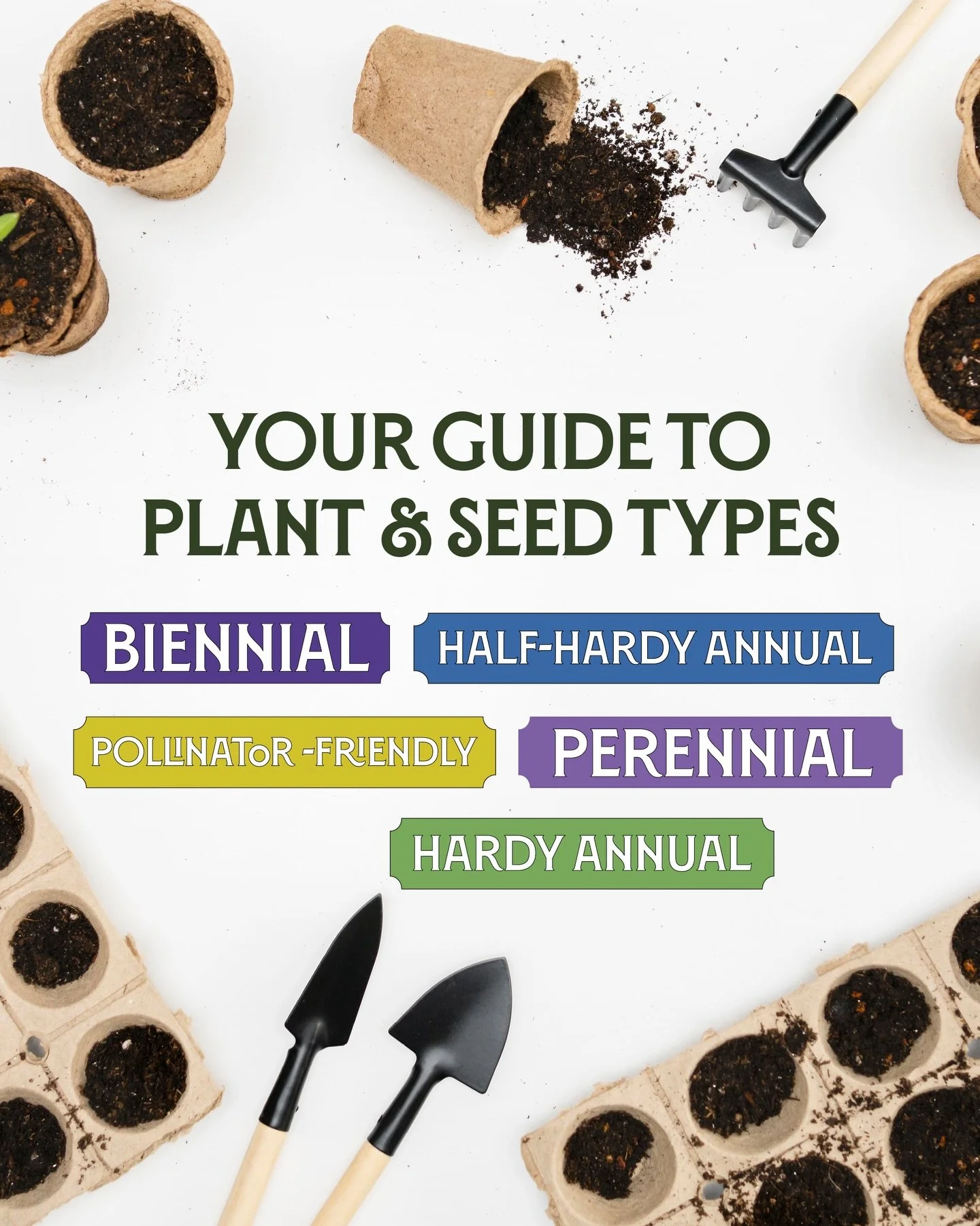 New to gardening and not sure where to start? 🤔

Understanding the different types of plants and seeds is a great first step. This will help you get to grips with planning what to sow, plant and grow in your garden, before making any purchases. 

He