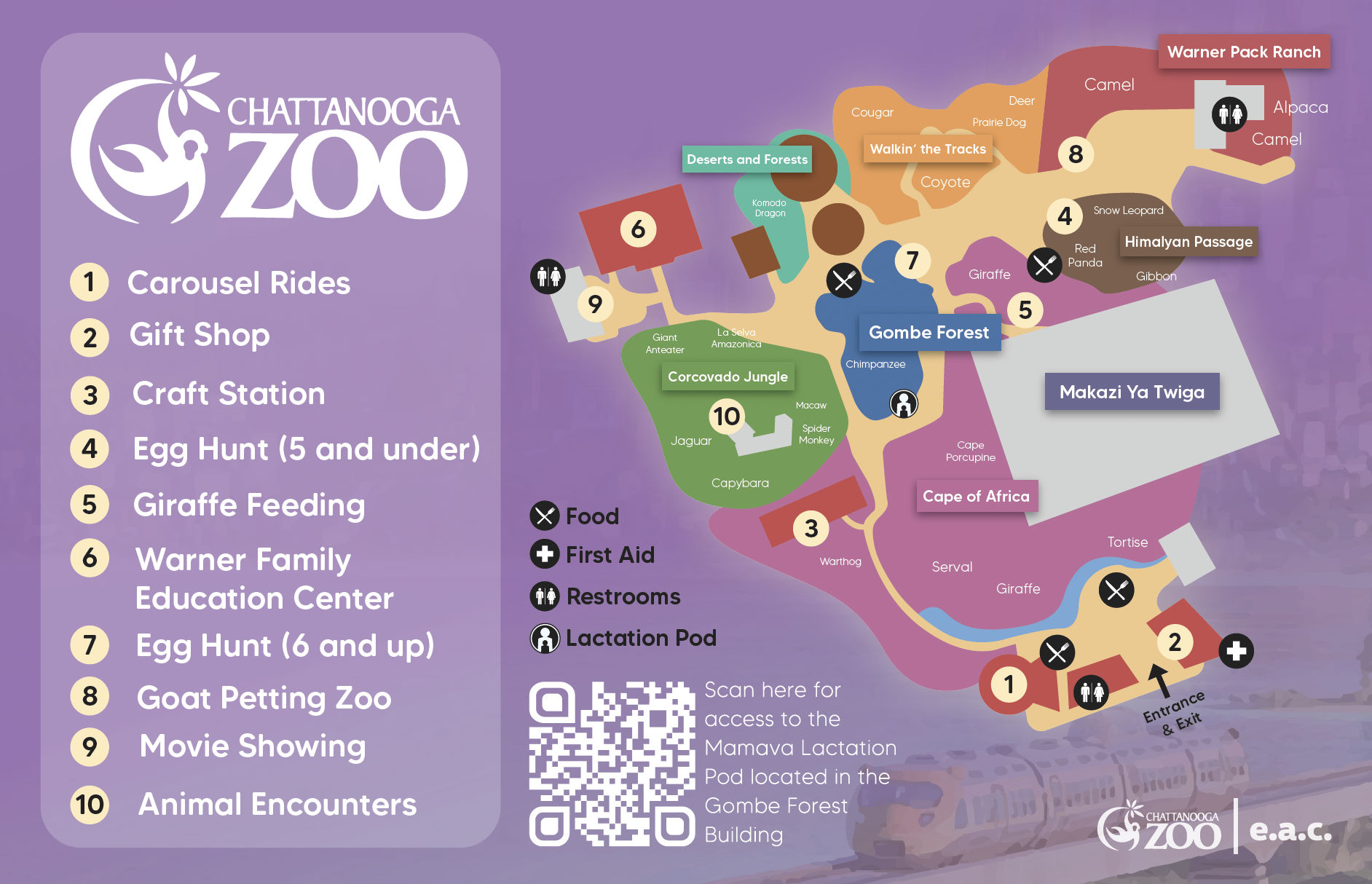 Volkswagen Internal Event Graphic Designer Design Challenge: This is the backside showing the map and different attractions. The backside was illustrated by me with the Zootopia train making a subtle appearance for movement and to maintain the Zootop
