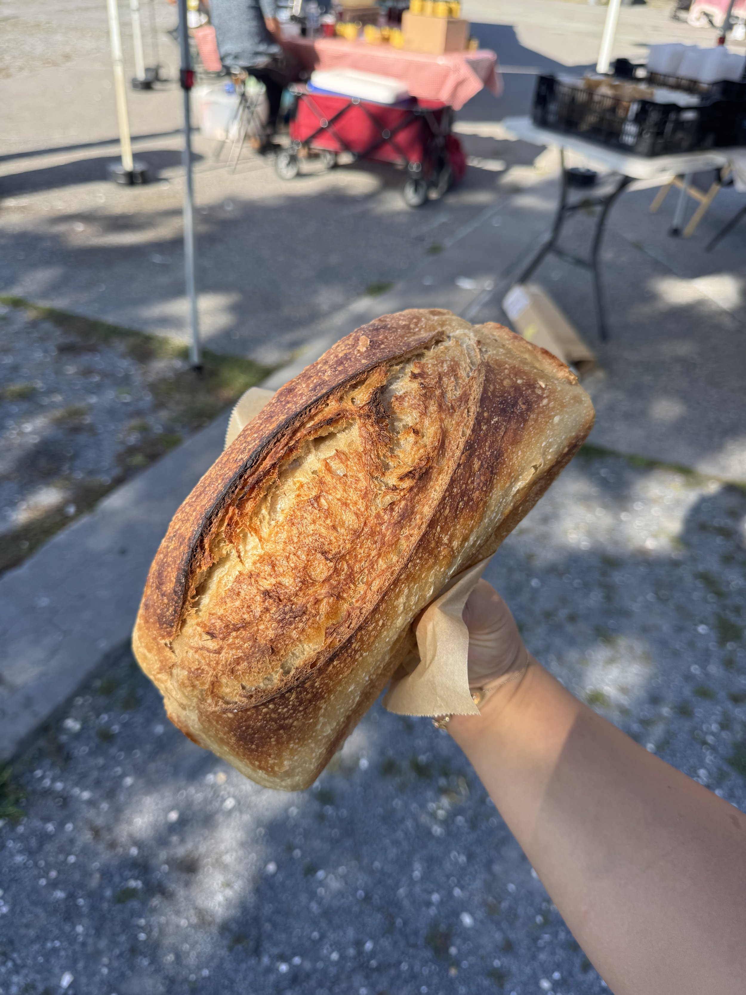 Organic Sourdough Sandwich Loaf