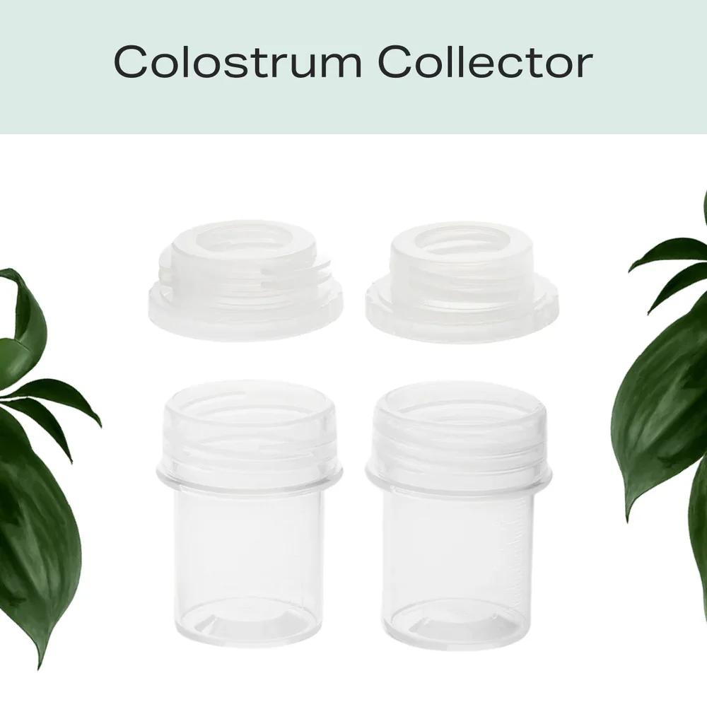 H1_ColoustromContainers_0f86f93f-a36b-44e1-9ec6-175e2d292234.webp