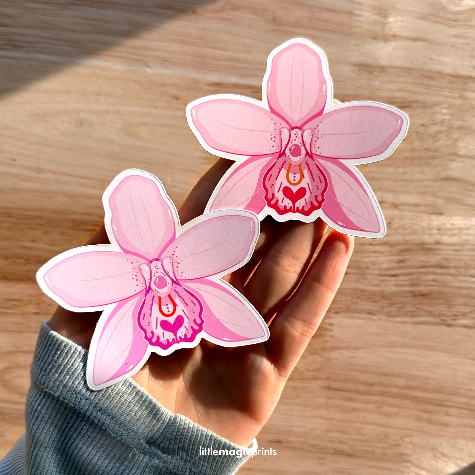 orchids3.png