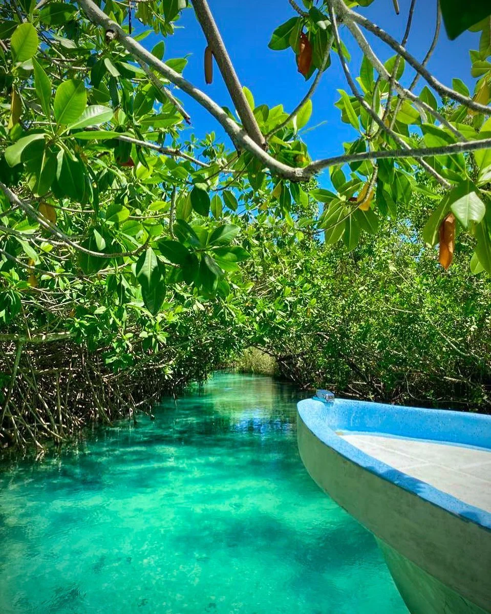 Thinking of visiting Mexico this winter? Let us take you on an immersive experience to discover the most unique locations on the Riviera Maya.