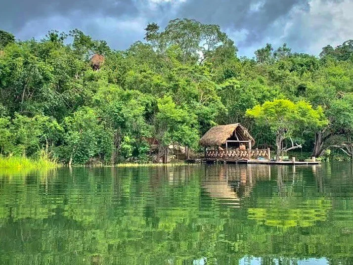 Take a break and immerse yourself in paradise! 🌴 Let us take you to the most unique destinations in and around the beautiful Riviera Maya! Book your tour through our website!!
&bull;
&bull;
&bull;
#visitmexico #exploremexico #mexico #mexicotravel #m