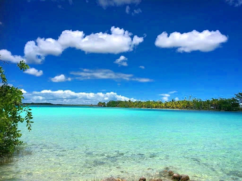 Aching a holiday in paradise? Wait no longer and let us take you on a tour sure to make you feel alive as ever! Book your tour through our website! &bull;
&bull;
&bull;

#namastetransportation #paradise #beautifuldestinations #mexico #rivieramaya #qu