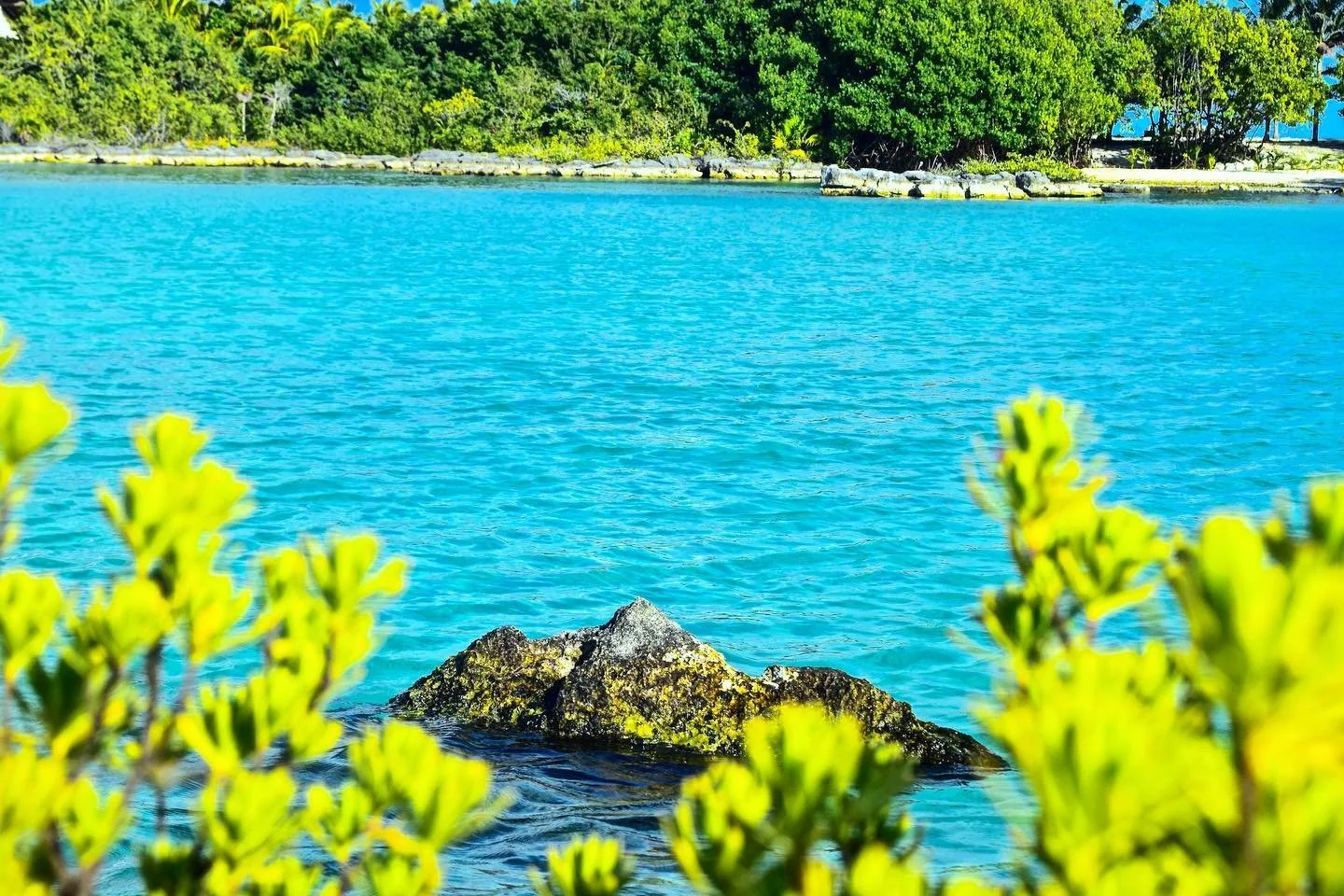 Come take a dip in this turquoise Caribbean water!  Book your airport transfer through our website! 💦 &bull;
&bull; &bull;
#namastetransportation #paradise #beautifuldestinations #mexico #rivieramaya #quintanaroo #yucatan #caribbean #mexicancaribbea