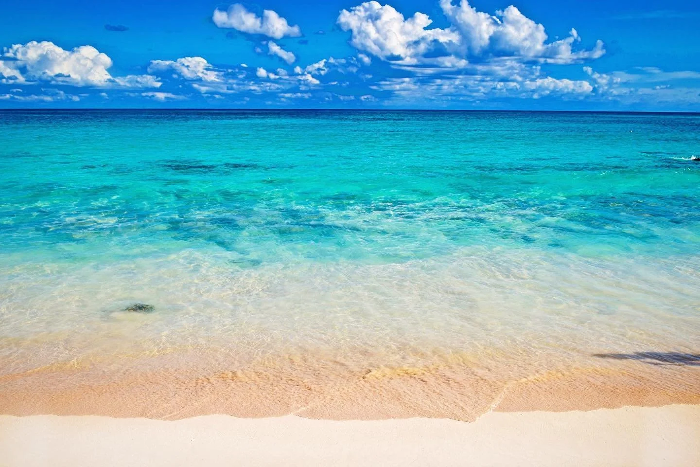 Tired of shovelling snow? 
Come escape winter to a snowless PARADISE! 🌴
Book your dream holiday today through our website!
&bull;
&bull;
&bull;
#namastetransportation #paradise #beautifuldestinations #mexico #rivieramaya #quintanaroo #yucatan #carib