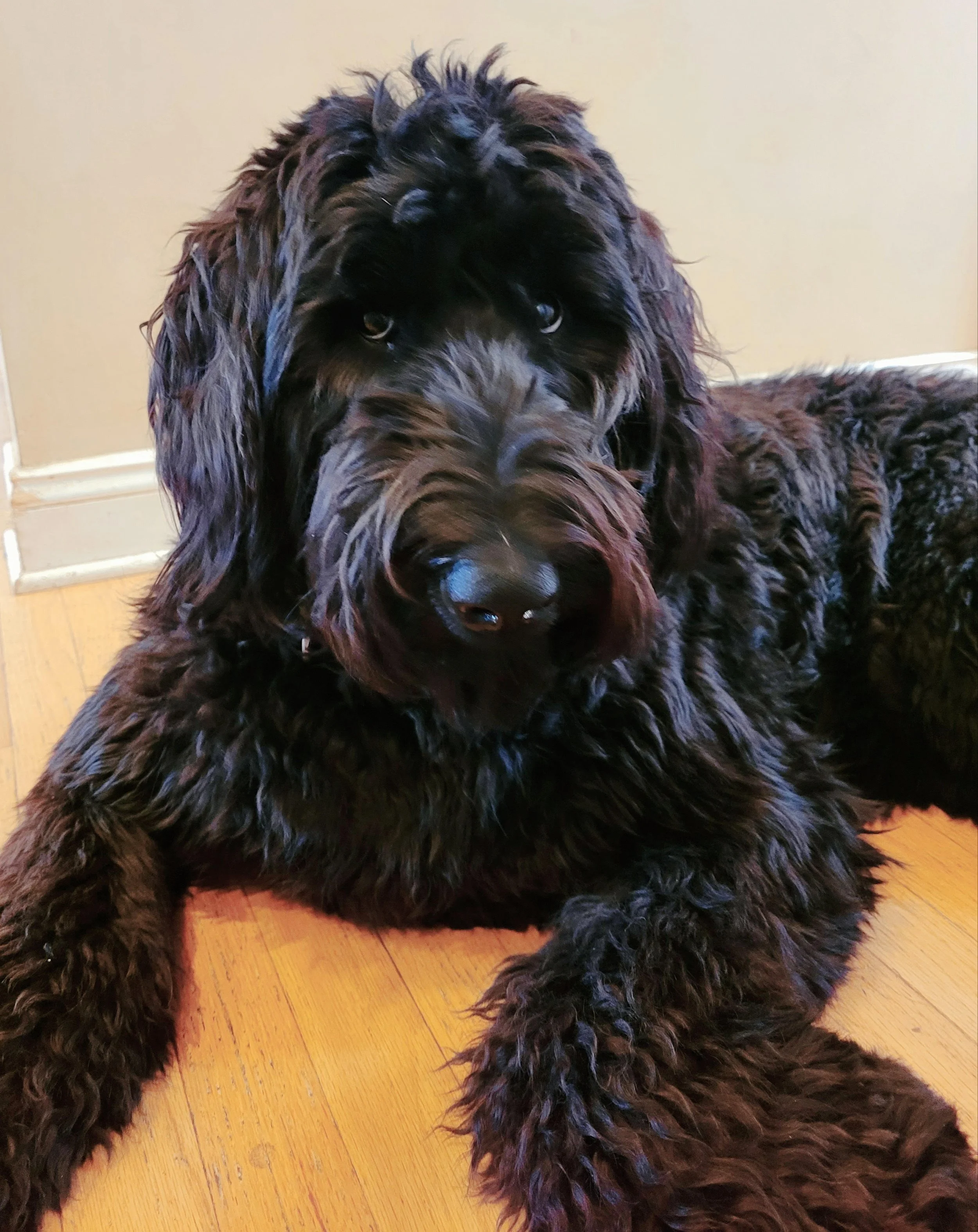 unnamed - 2025-04-30T094352.824.jpg