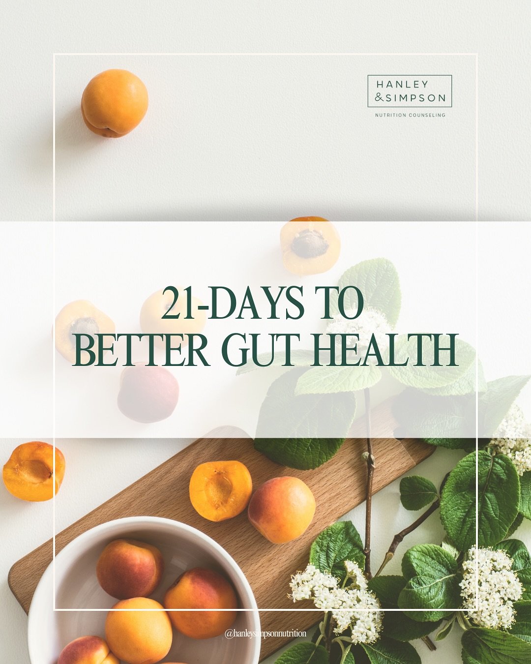 Our 21-Day Better Gut Health Program is here! ✨link in bio

This 3-week, self-paced program is packed with practical tools to help you support digestion, reduce inflammation, and rebuild your gut health. 

Inside you&rsquo;ll find:
-3 week meal plan
