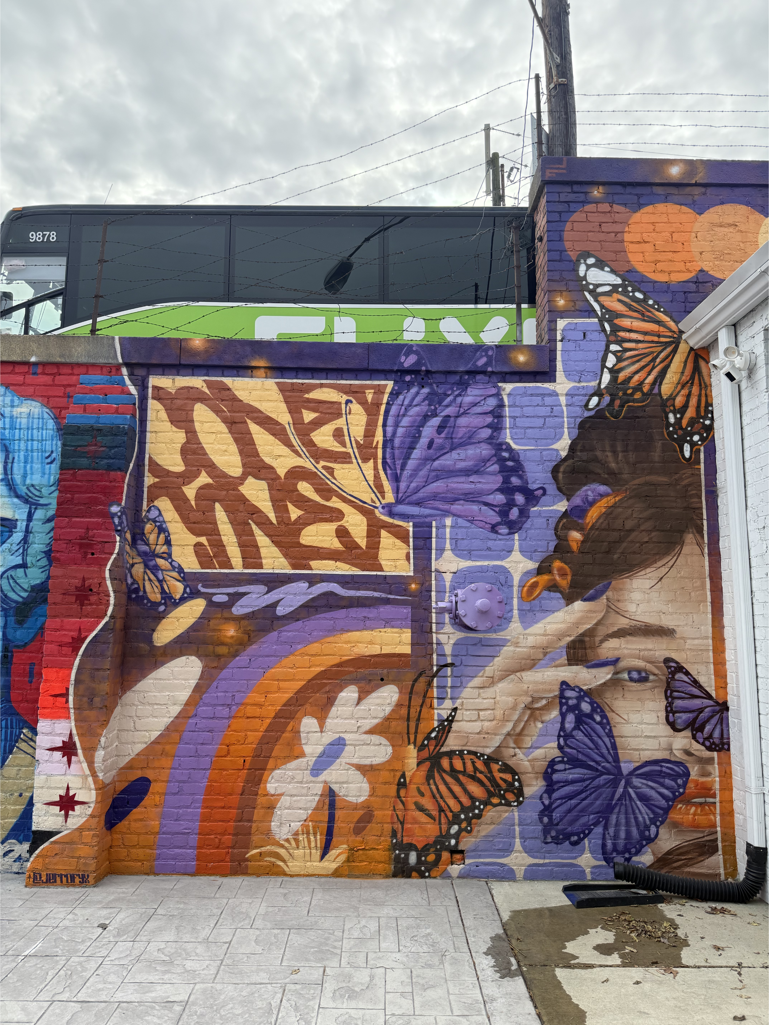 Conex mural.png