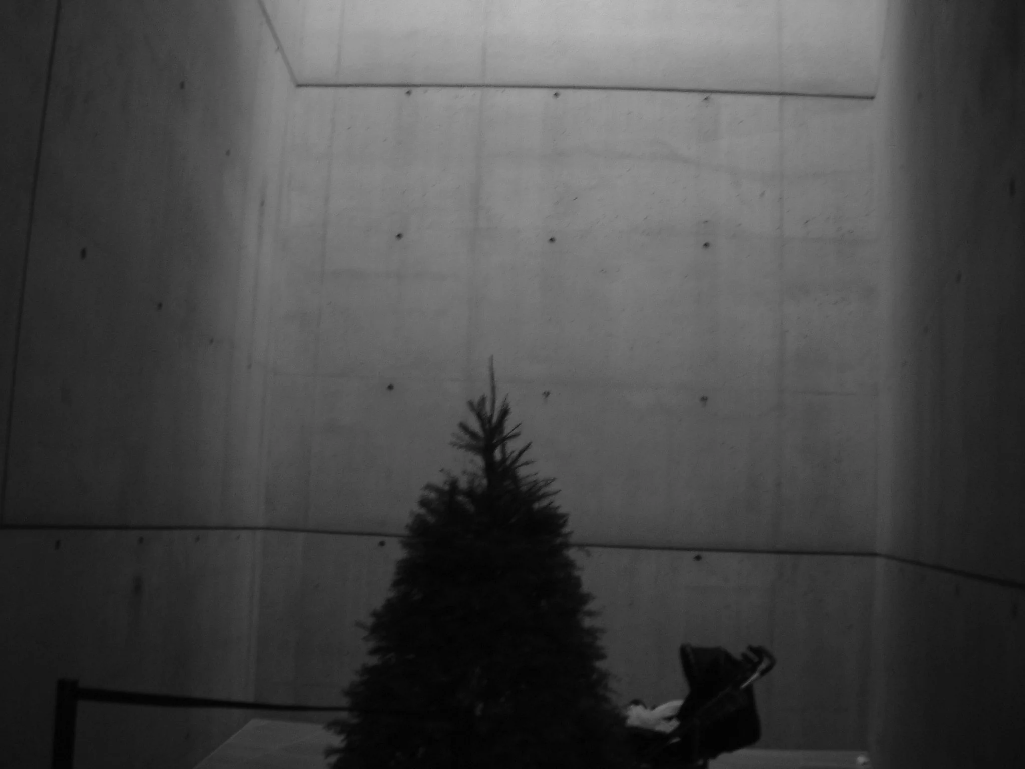 Christmas - Los Angeles