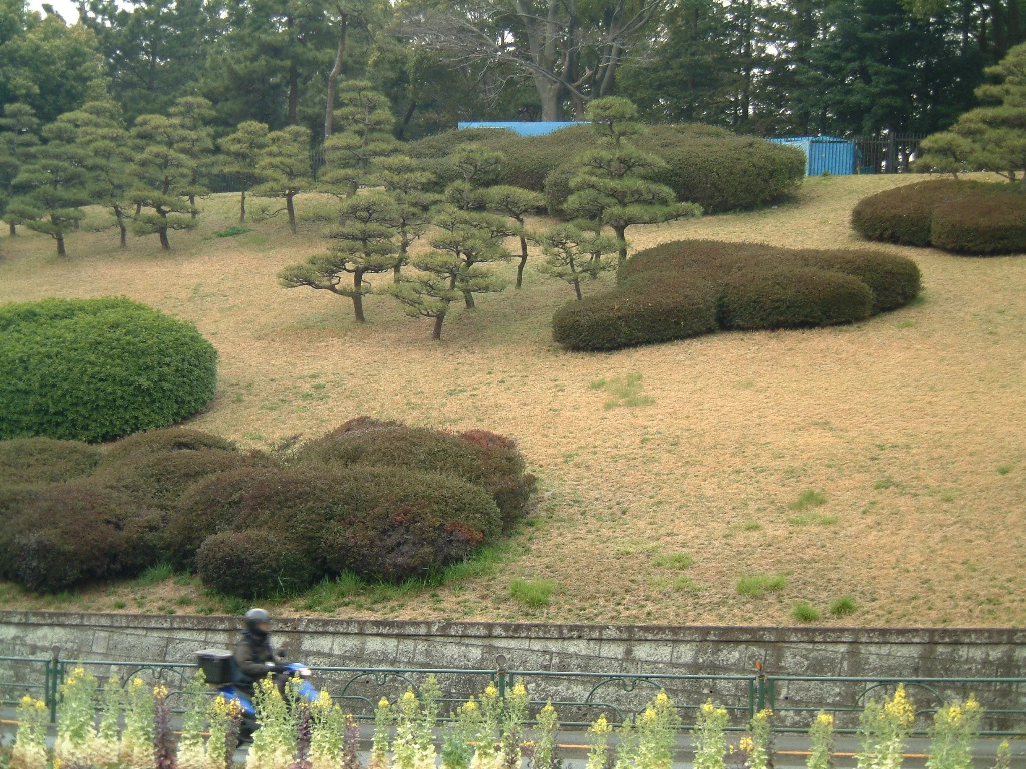 TITLE: Topiary, desu; This is some wonderful shrubbery.