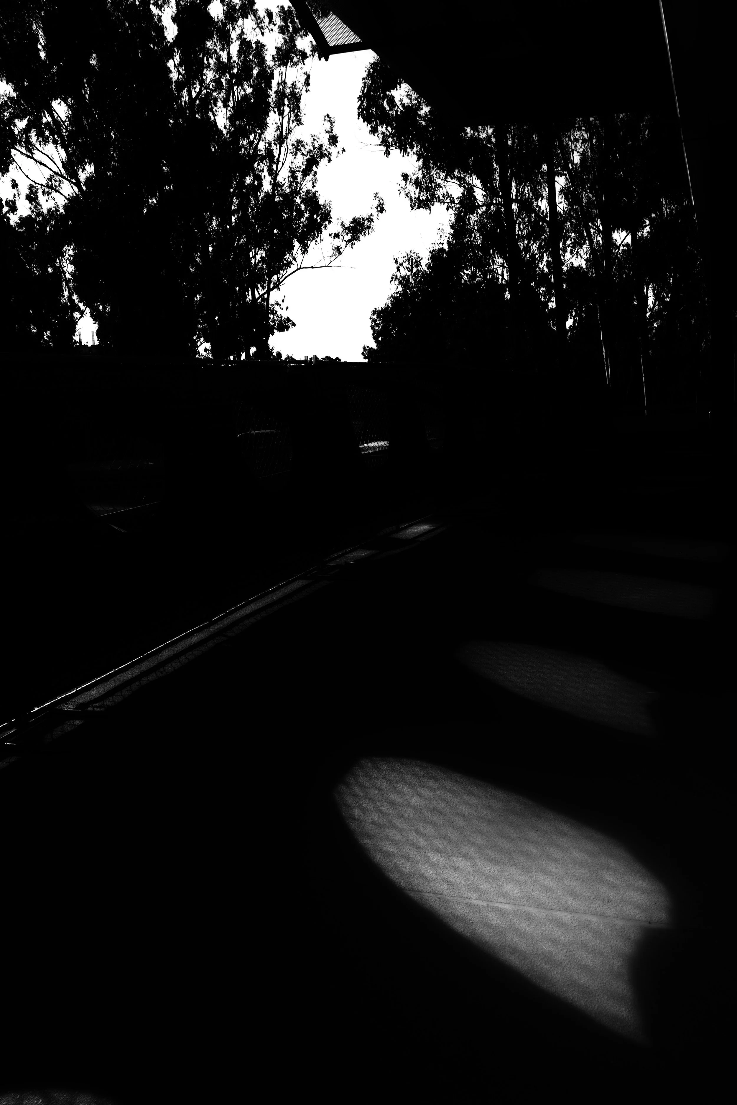 ktb-a-ref-oh-fontana-irvine -DP1M0080ad.jpg