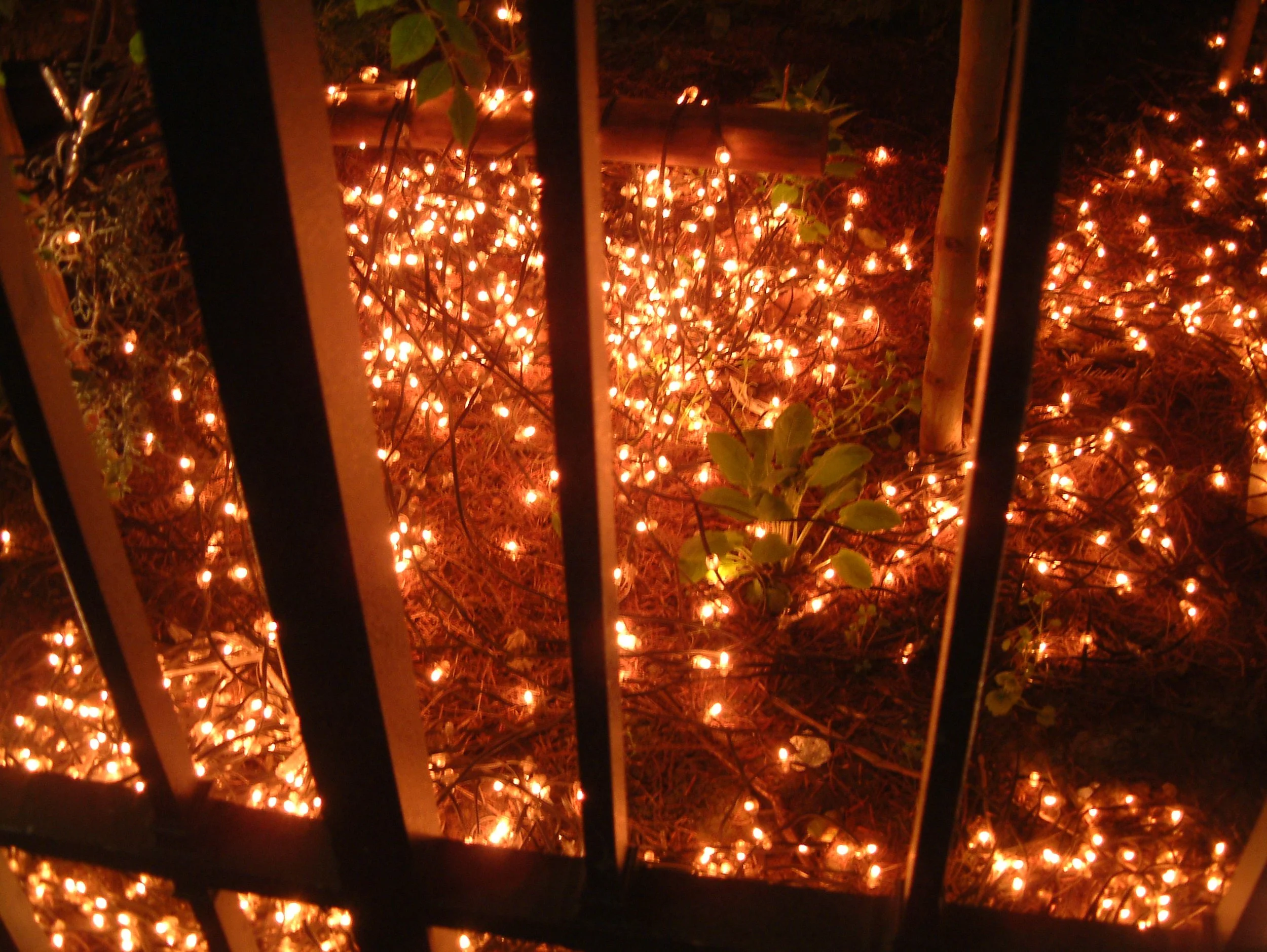 TITLE: Pointillistic carpet of light; These lights... so simple... upon my walk home from work, they gave off more then they will ever know.