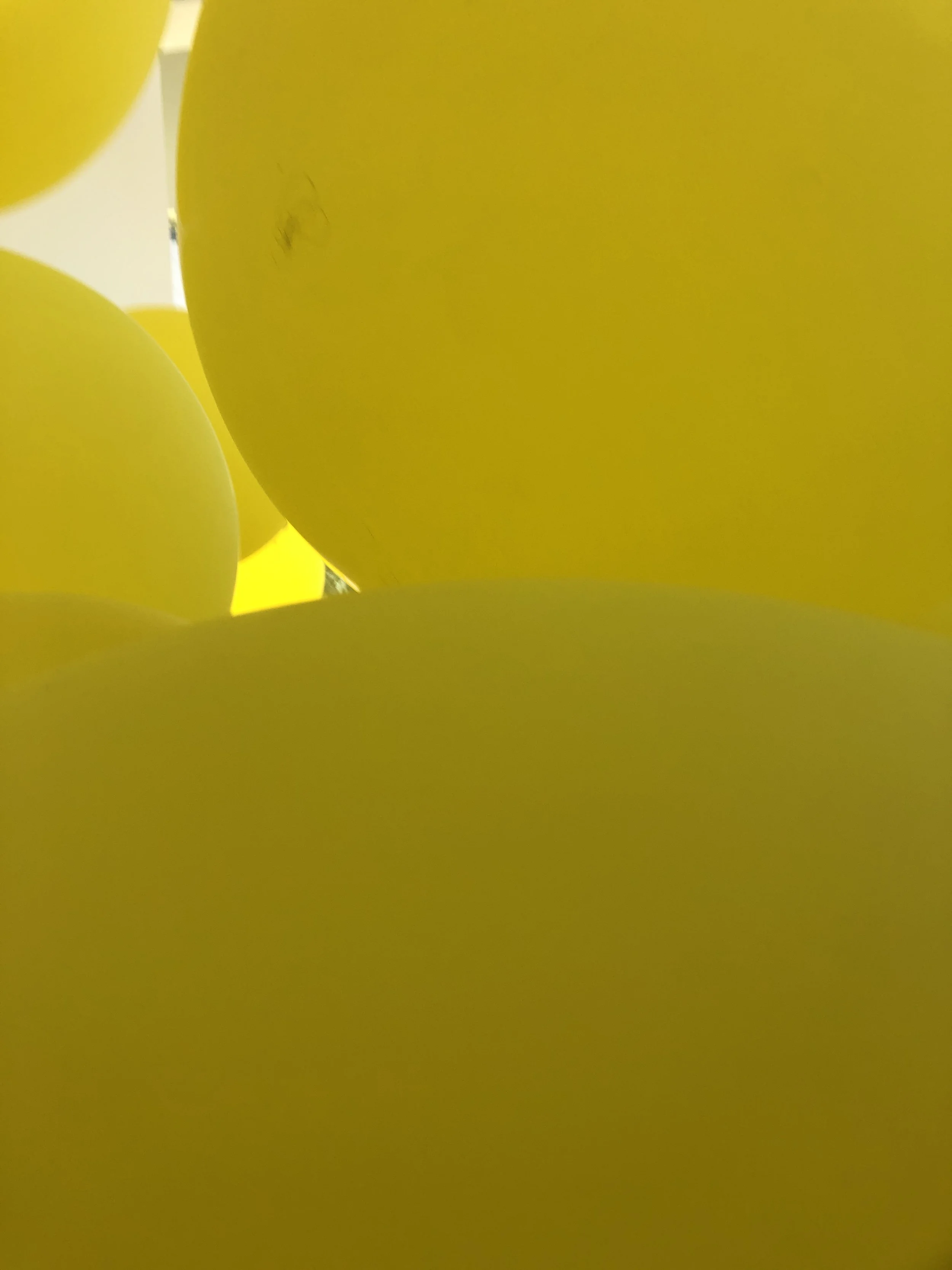 ktb-hyper-balloons-IMG_6269.JPG