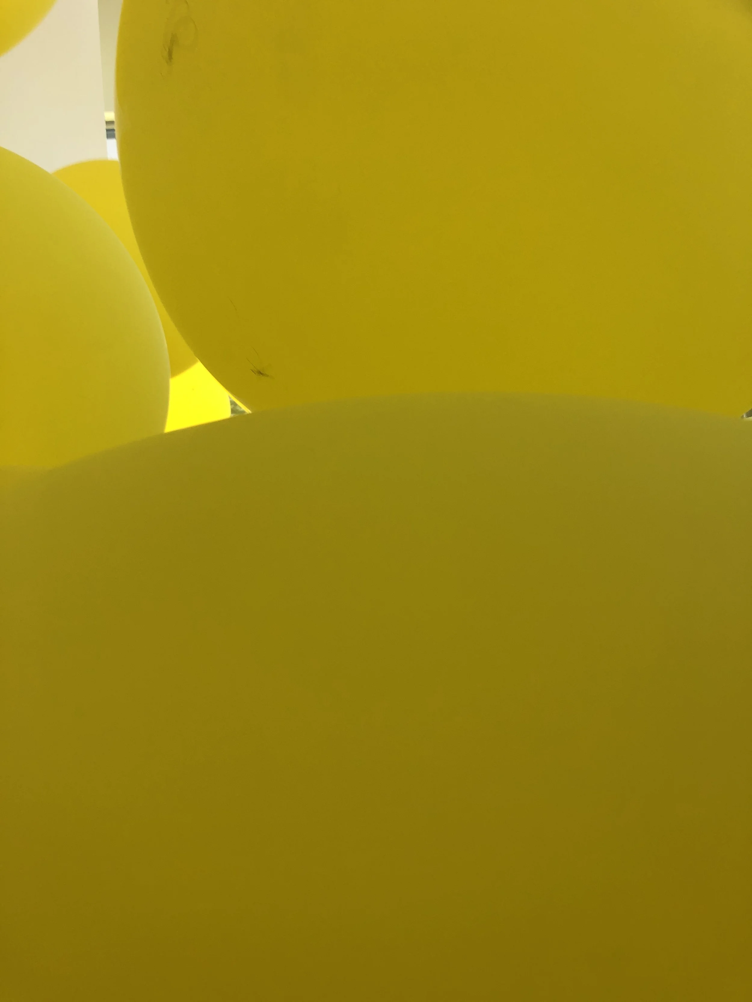 ktb-hyper-balloons-IMG_6268.JPG