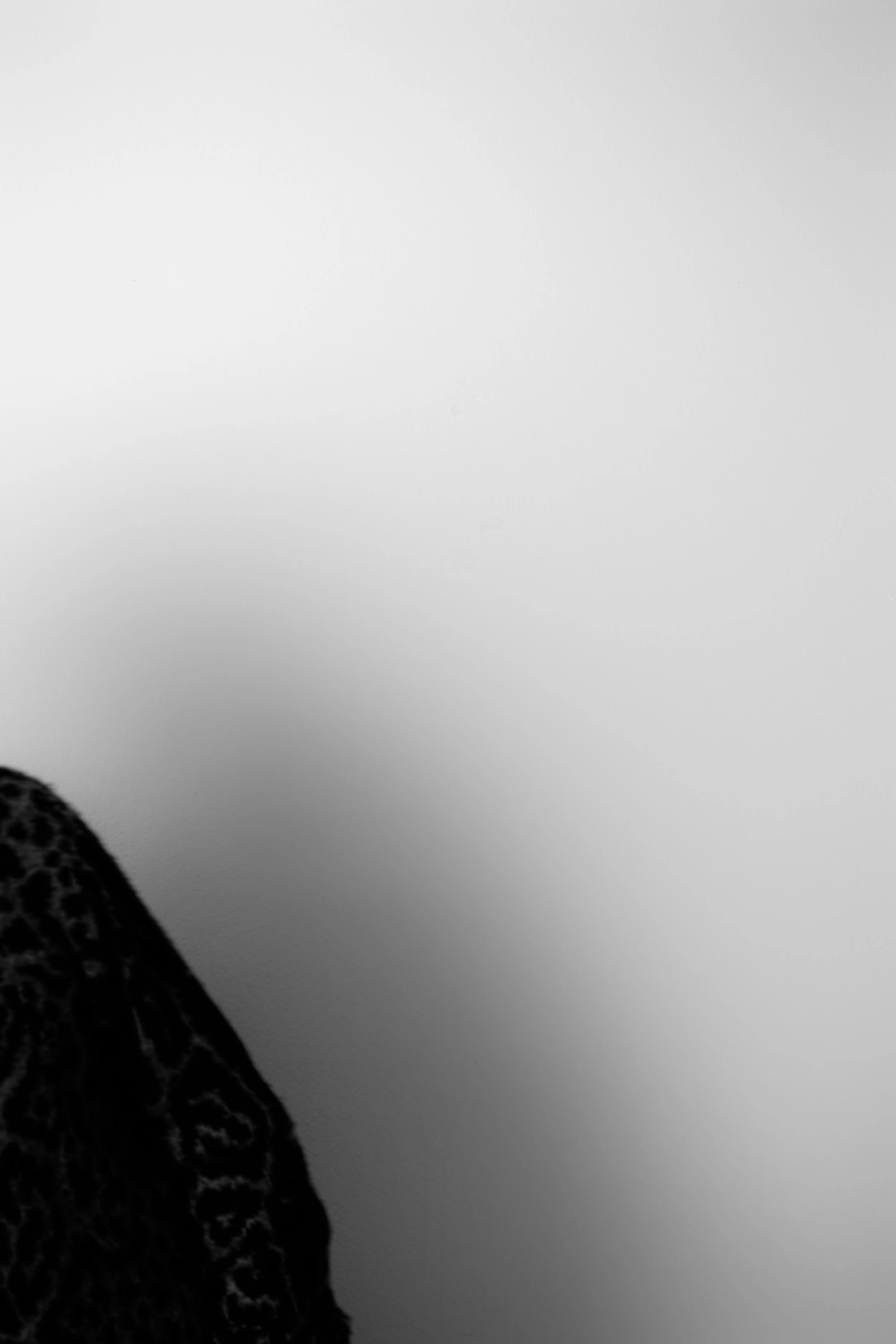 A Portrait of the Artist's Shoulder