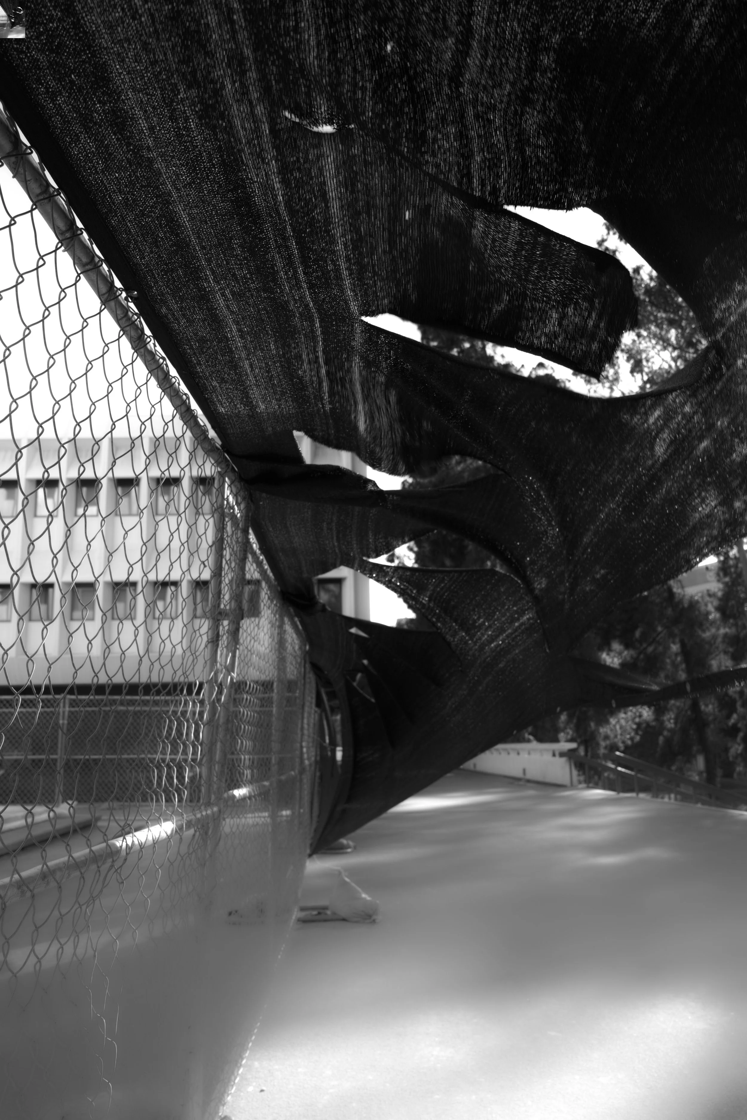 ktb-a-ref-oh-fontana-irvine -DP1M0087_z.jpg