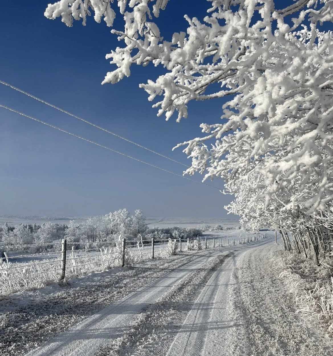 Why We’re Going Back to Basics With Blogging!