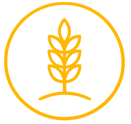 A gold line drawing of a wheat stalk inside a gold circle on a black background.