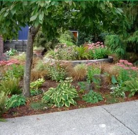 A Little Landscaping