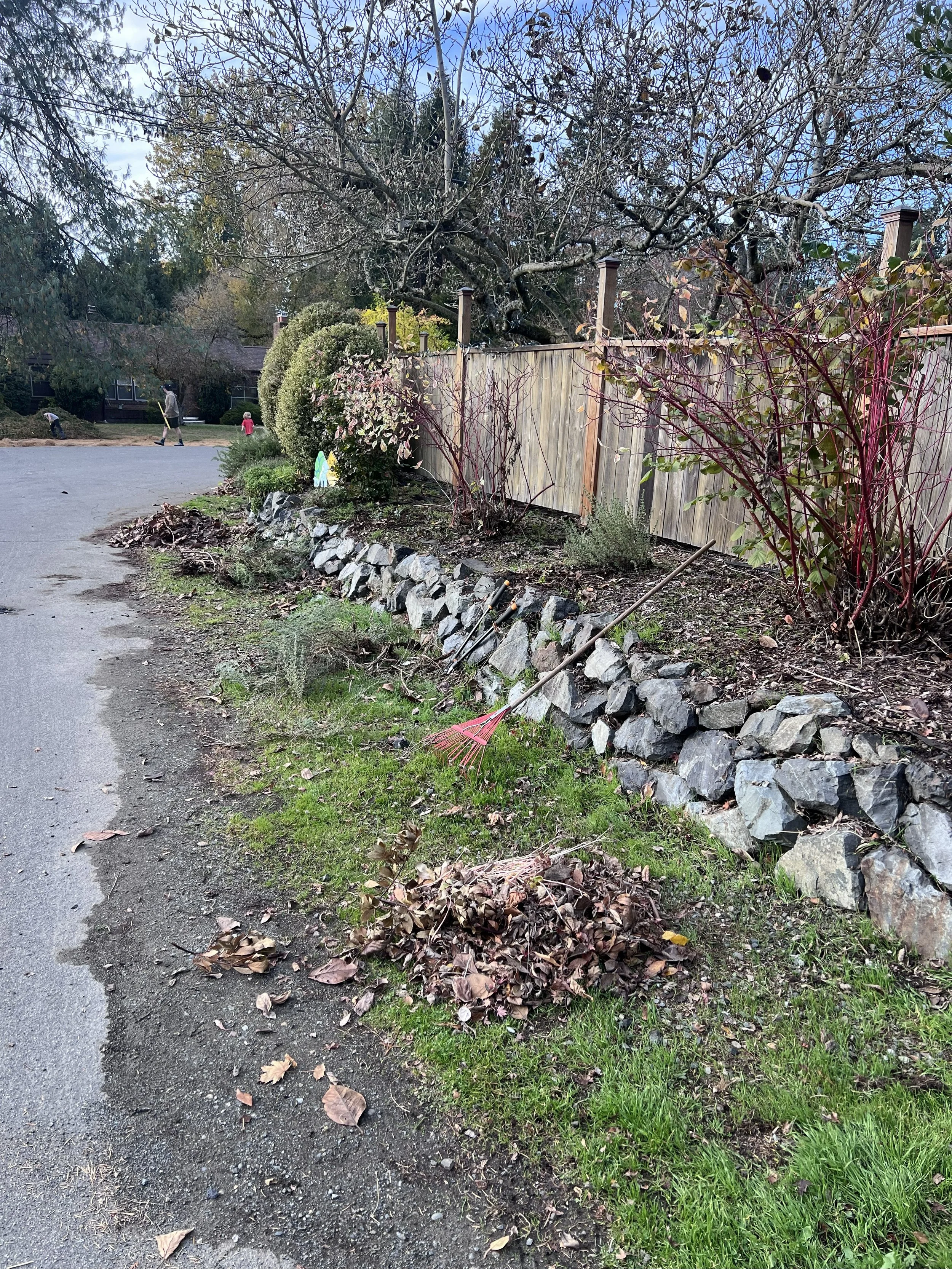 Front flower bed before mulch
