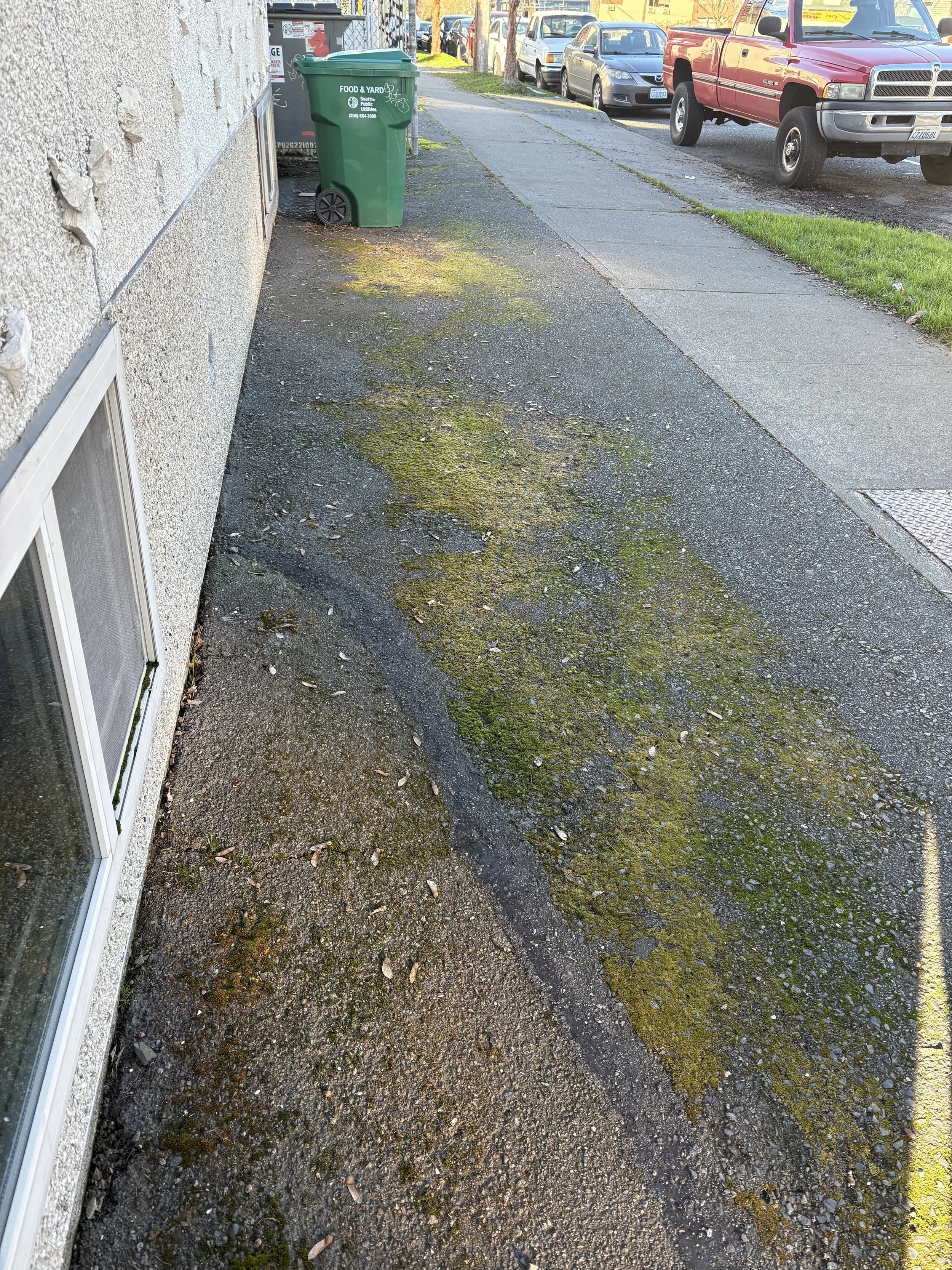 Asphalt walk before cleaning