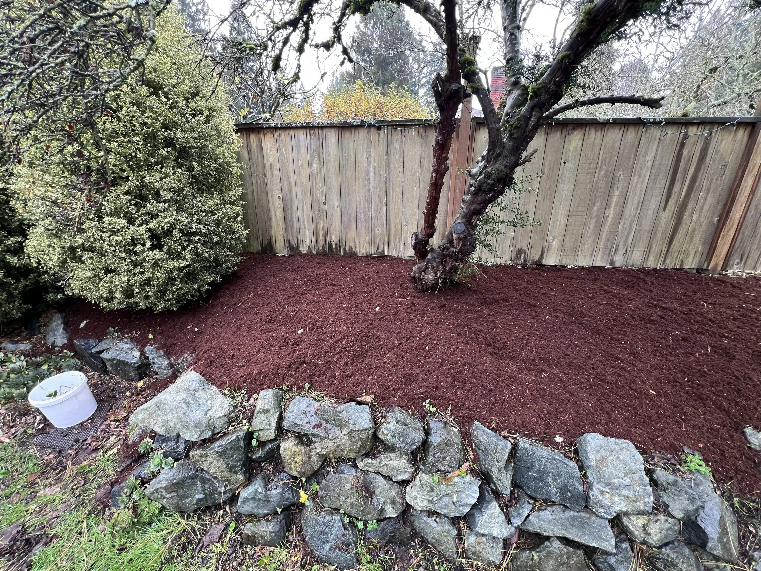 Freshly mulched flower bed