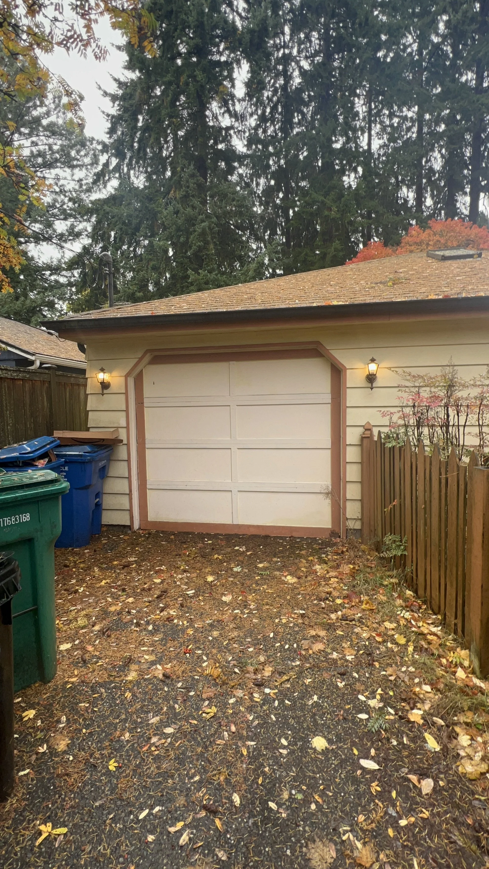 Driveway before cleanup