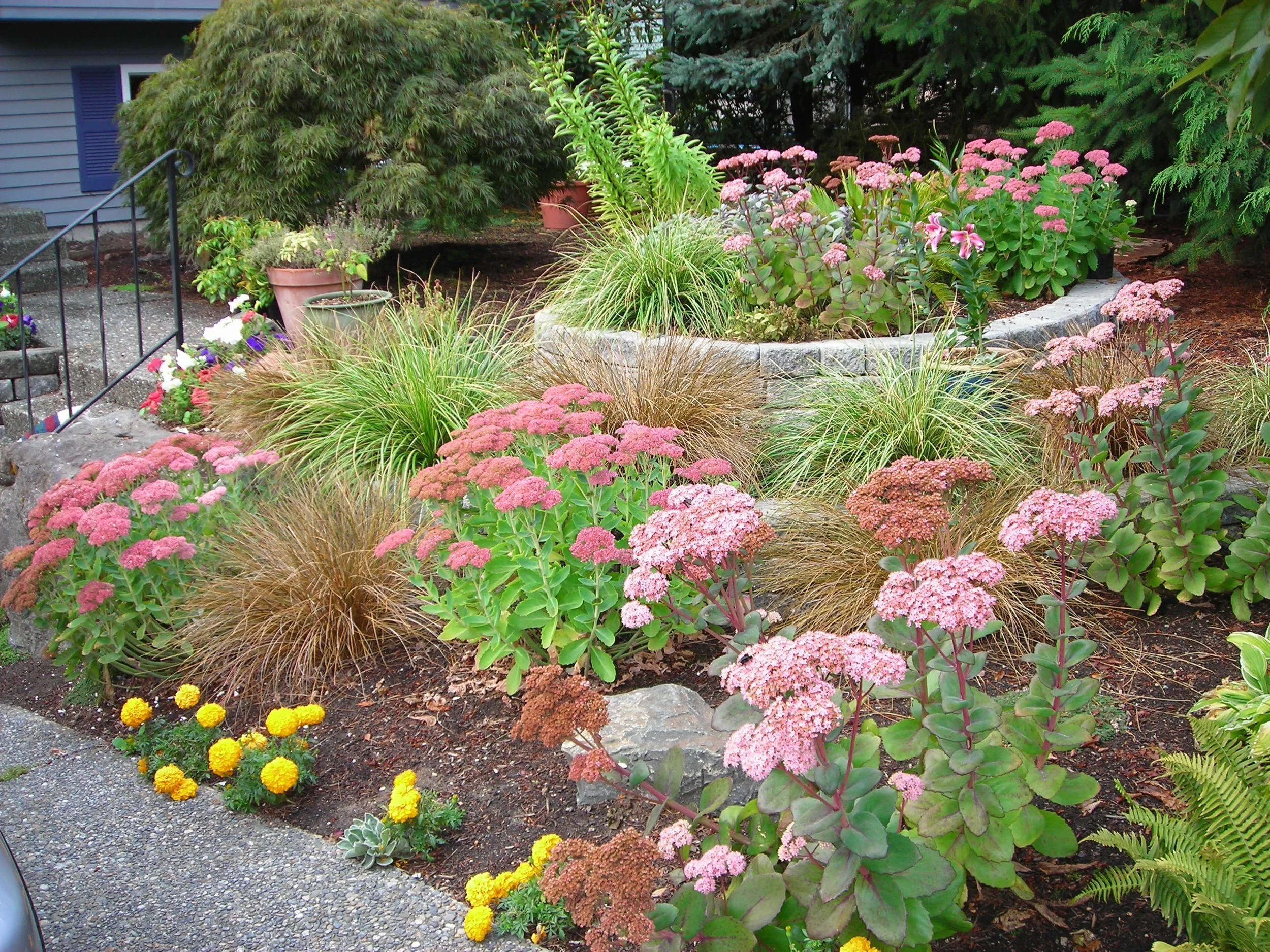 A Little Landscaping