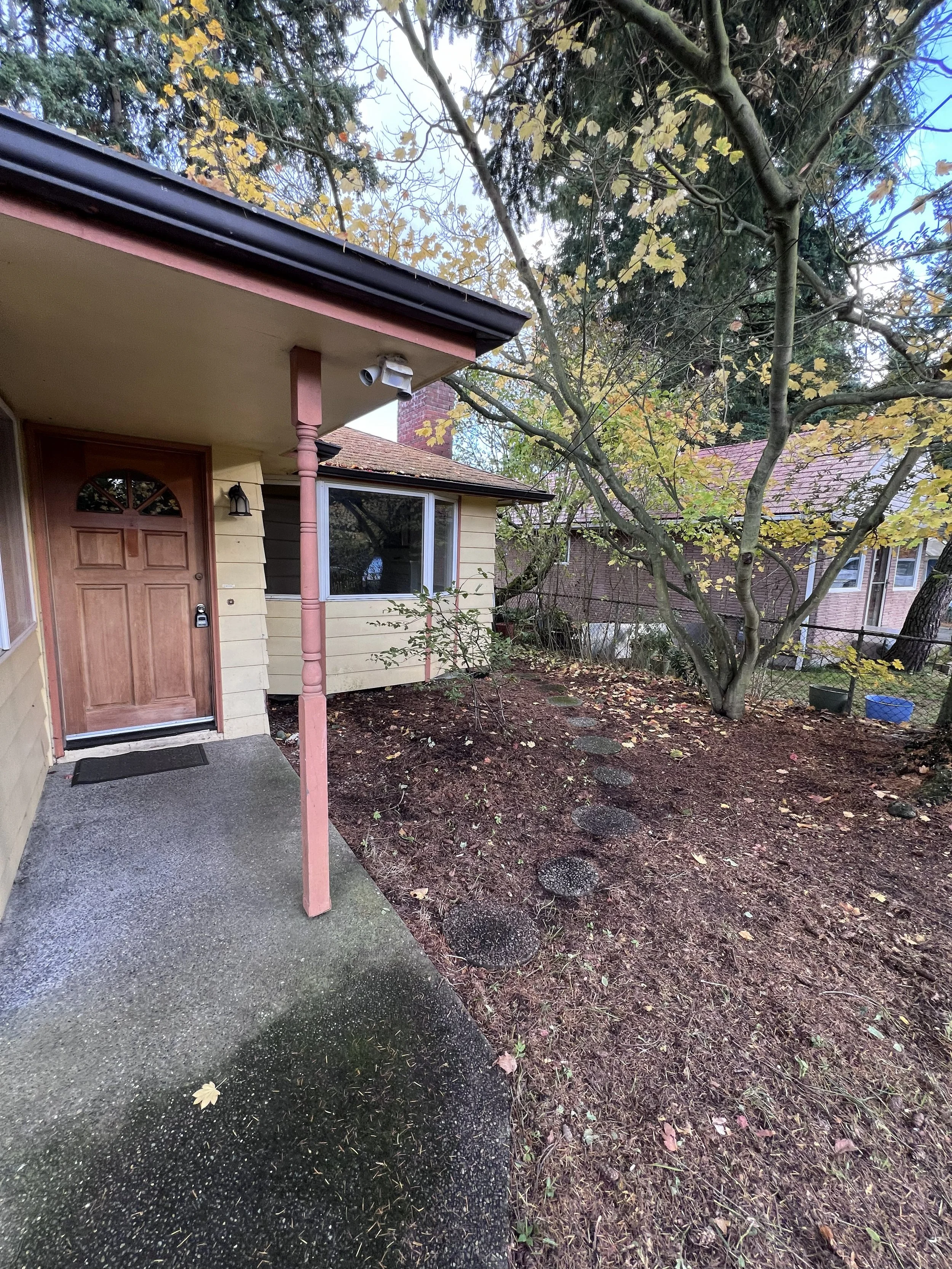 Front yard after cleanup