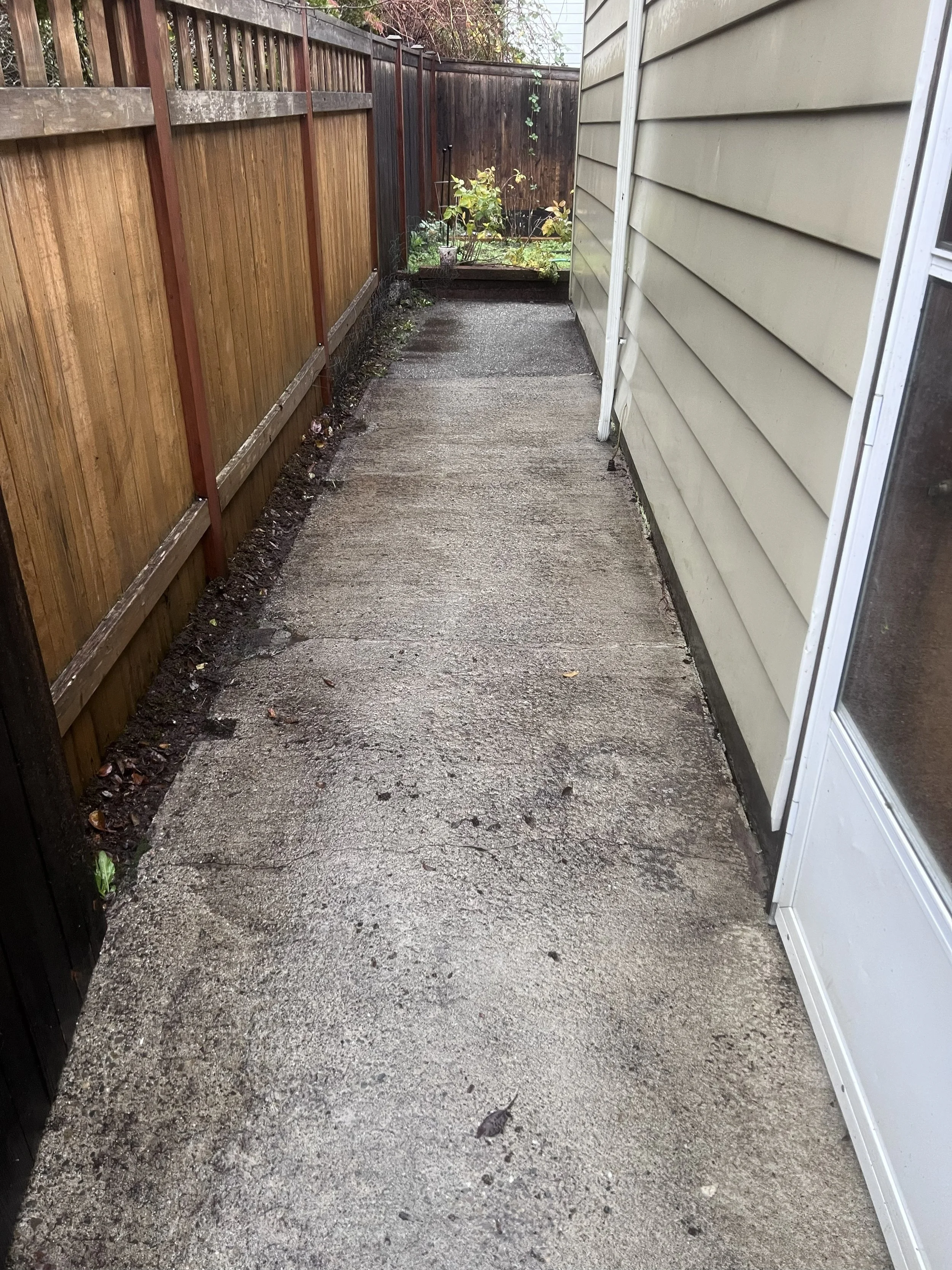 Side walkway after cleanup and pressure washing