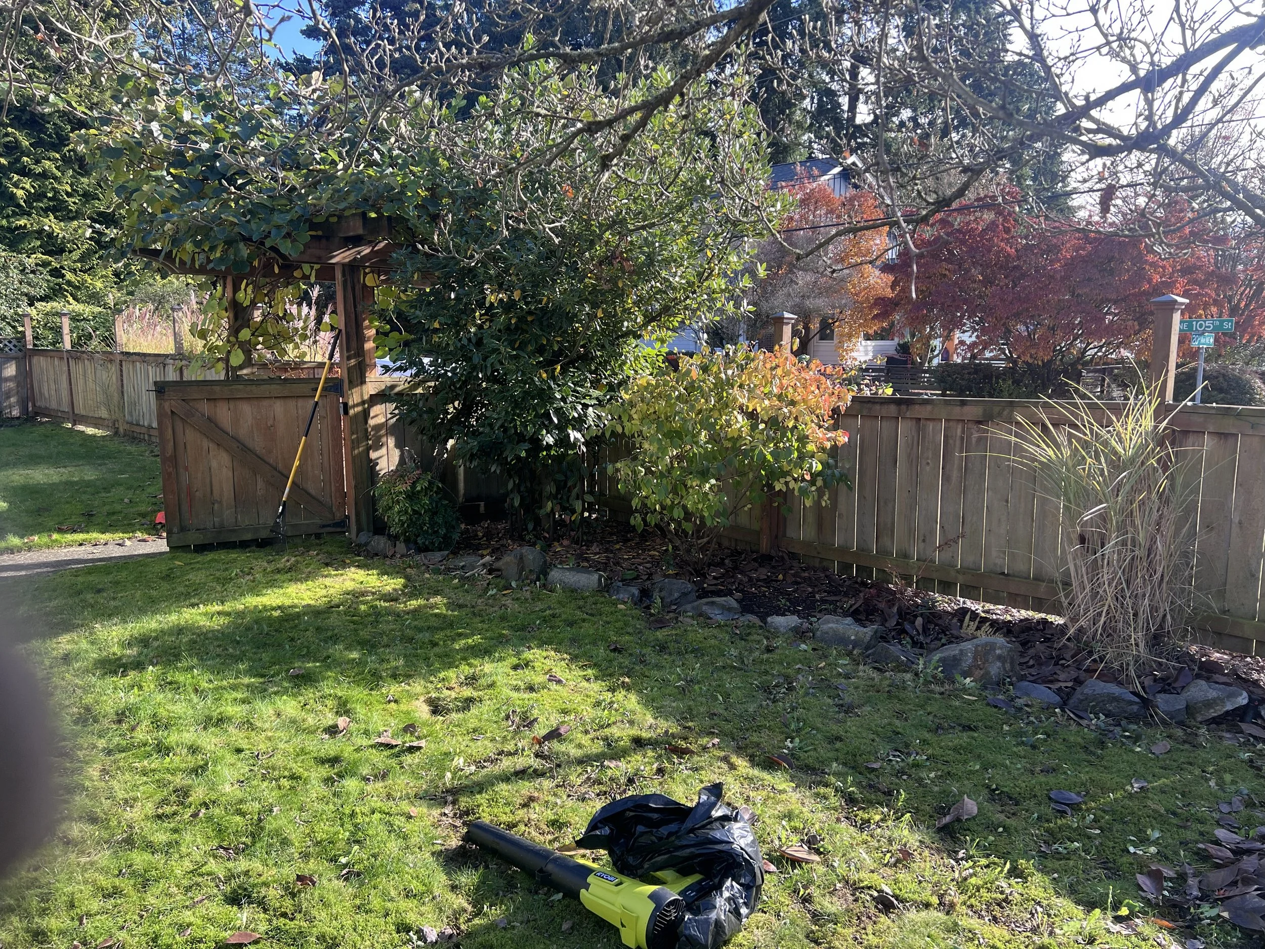Flower bed before mulch