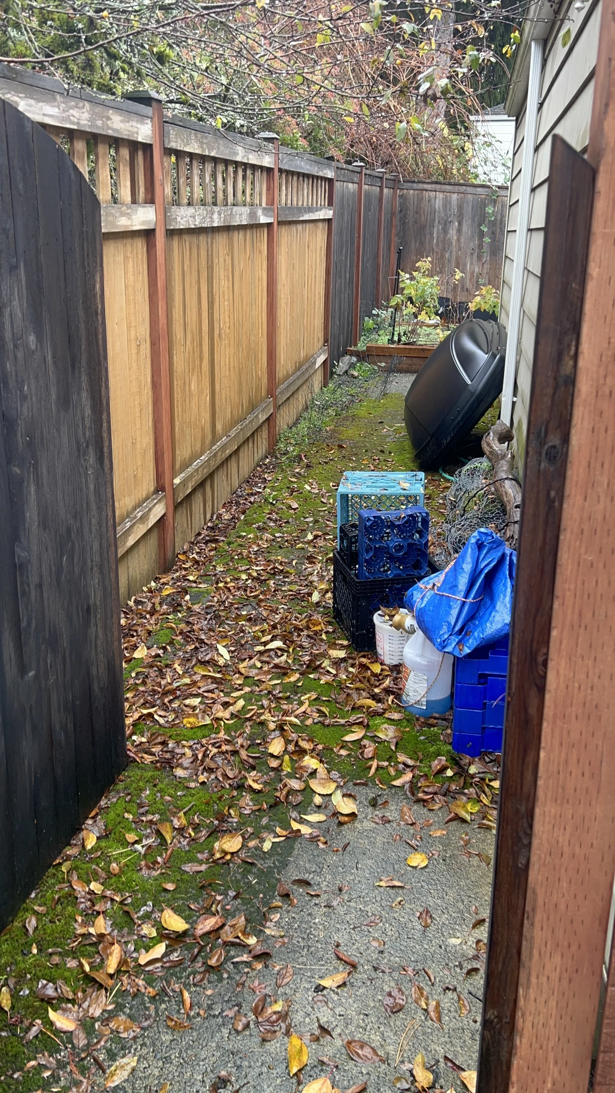 Side walkway before cleanup and pressure washing