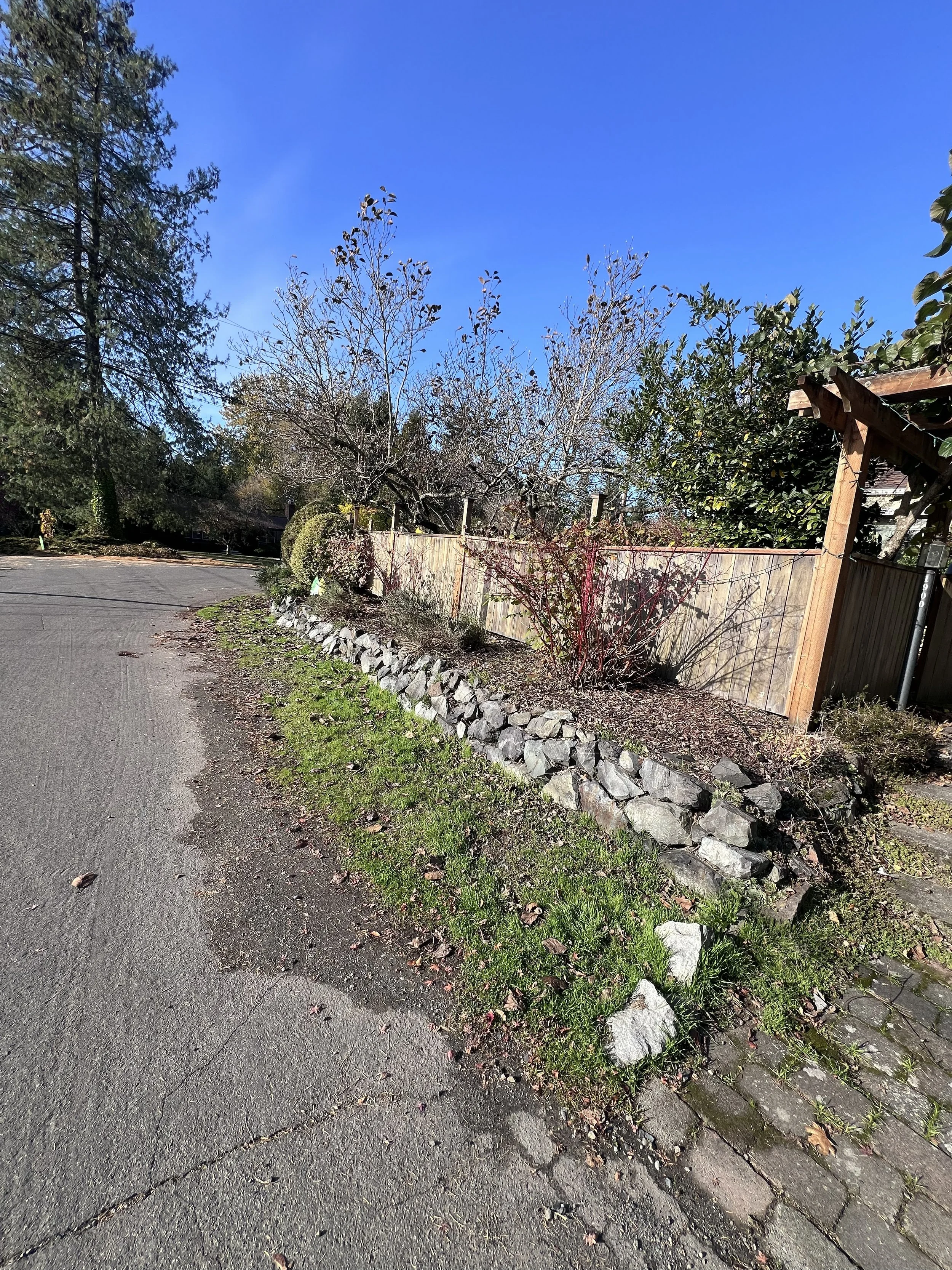 Front flower bed before mulch
