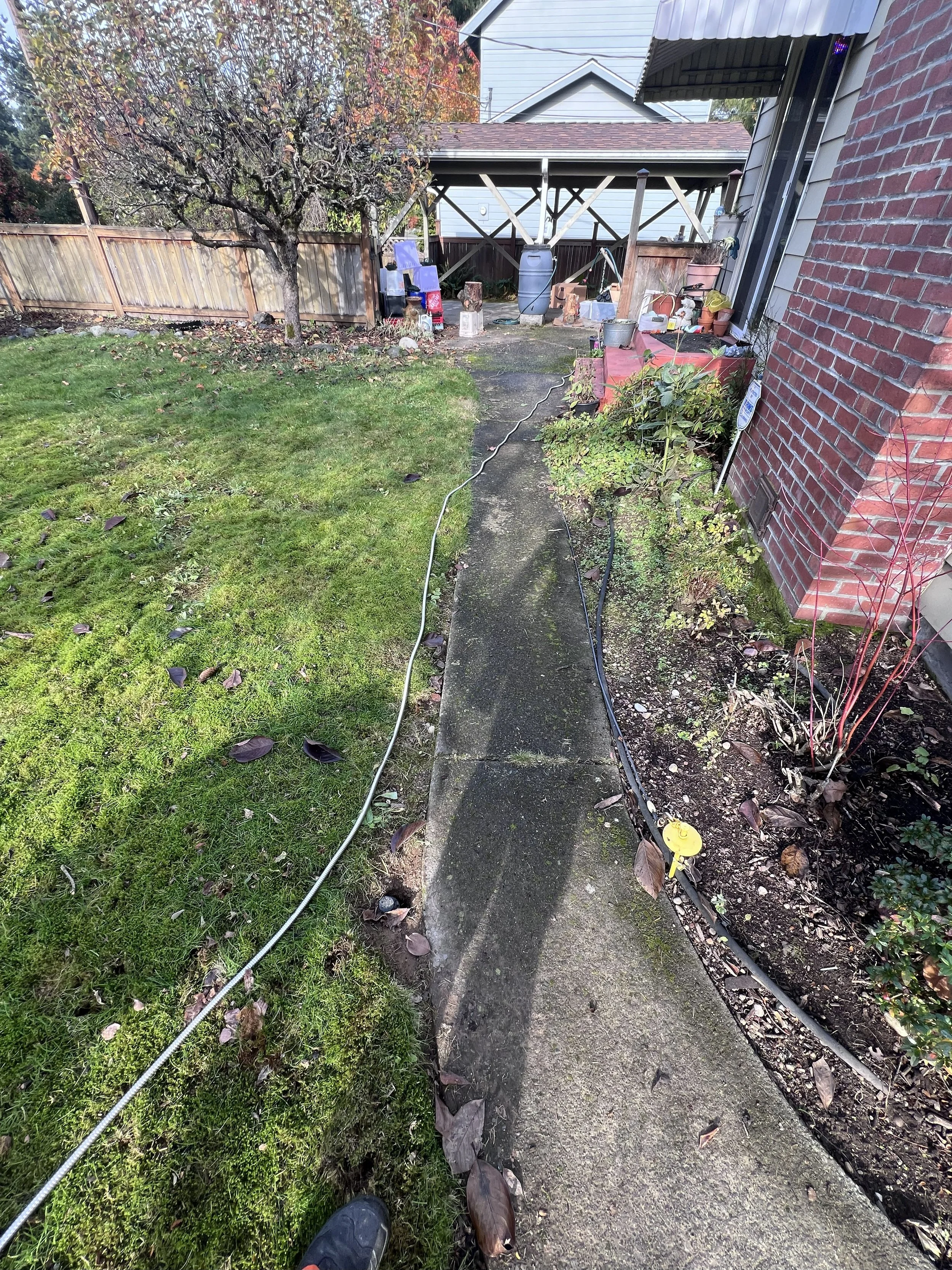 Walkway before mulch