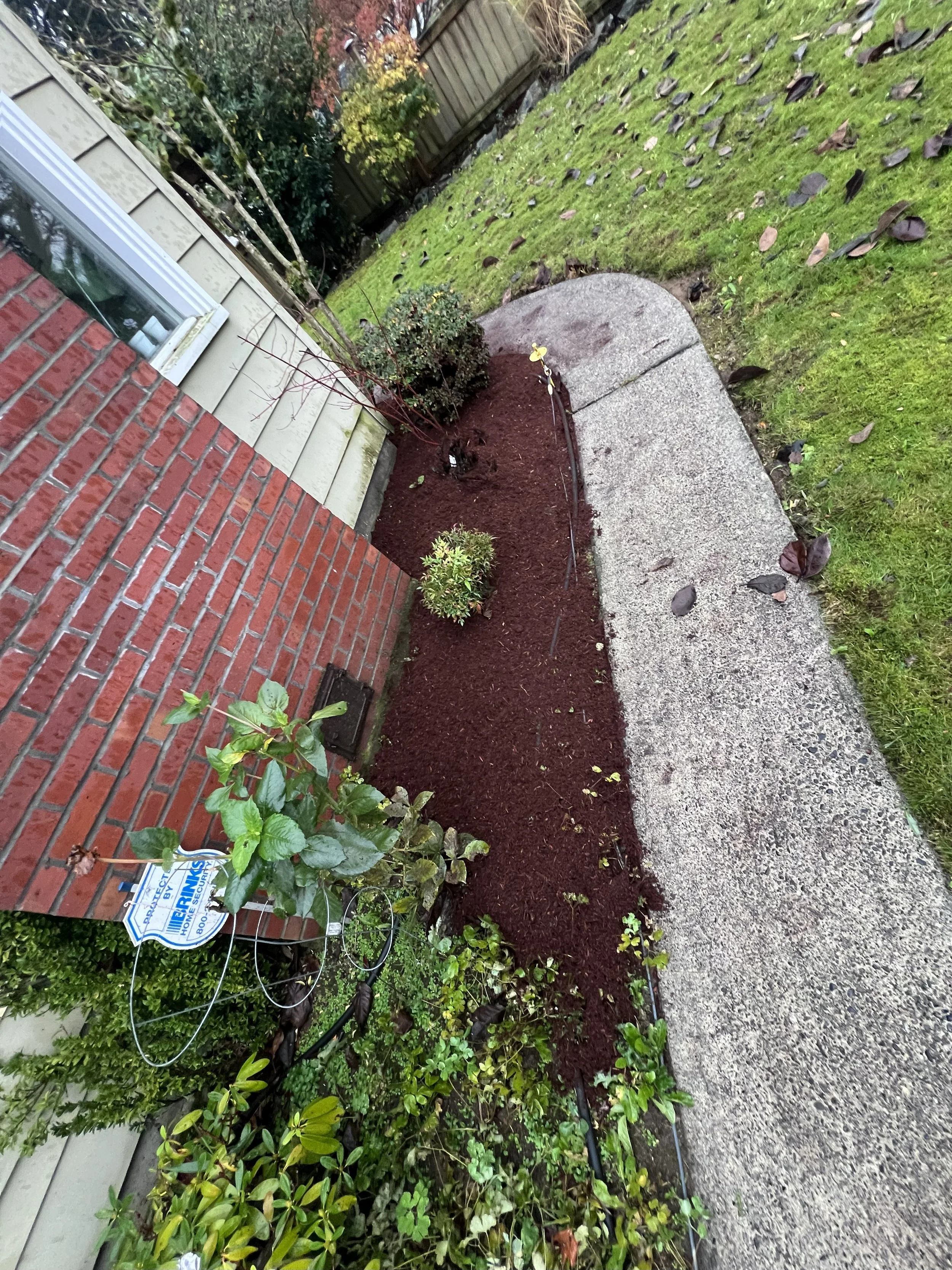 Walkway after mulch