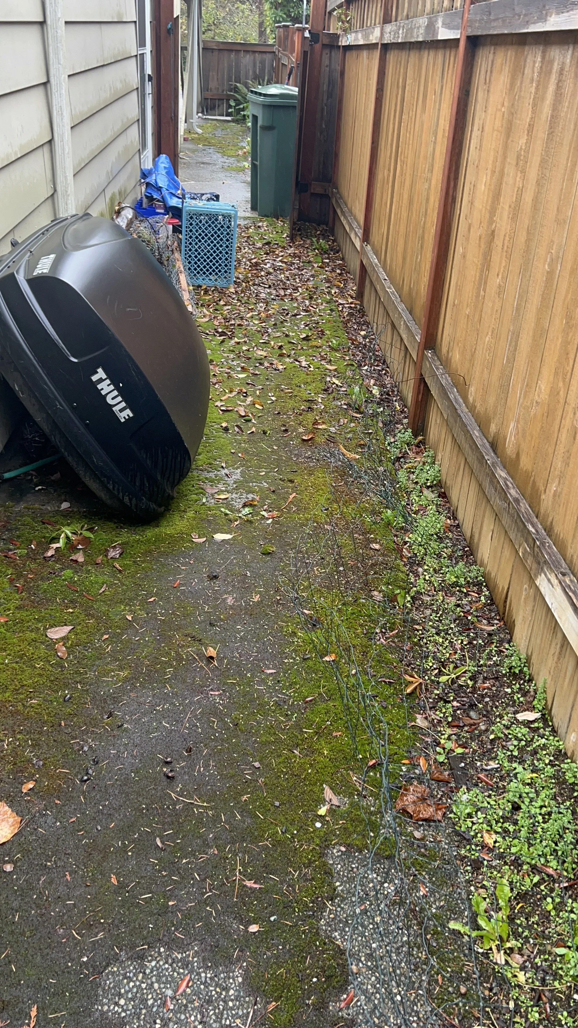 Side walkway before cleanup and pressure washing