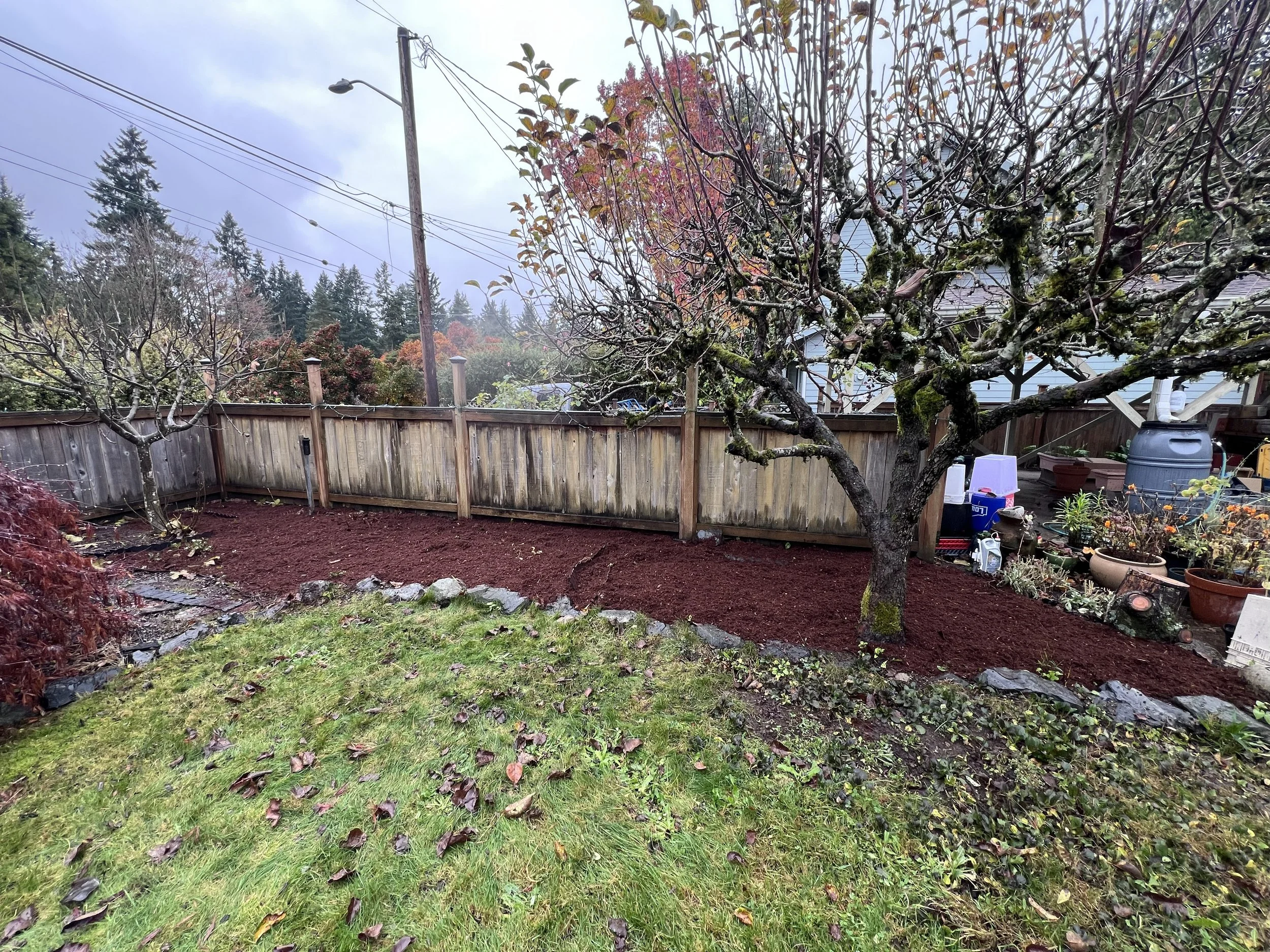 Freshly mulched flower bed