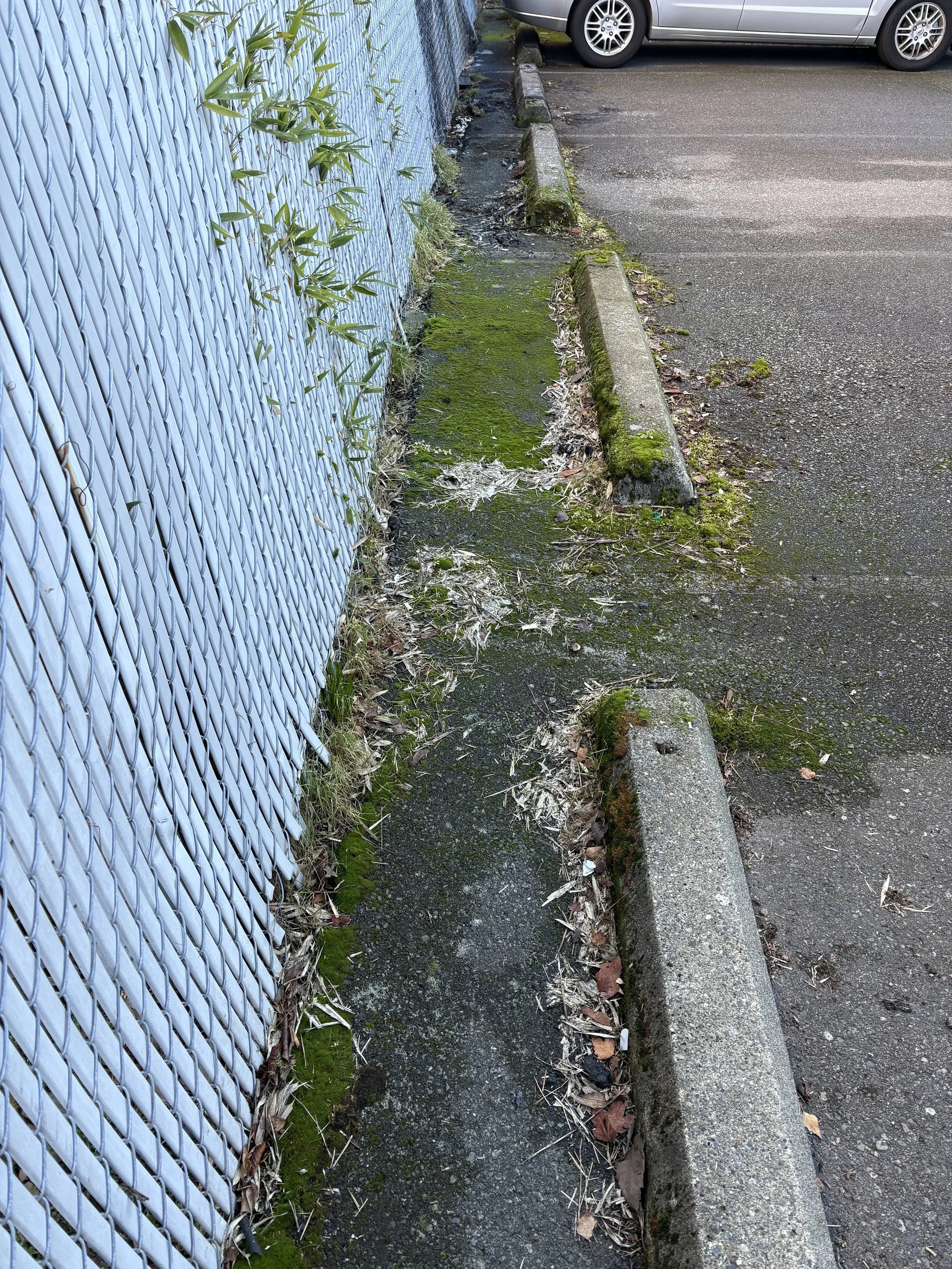 Parking area before cleaning