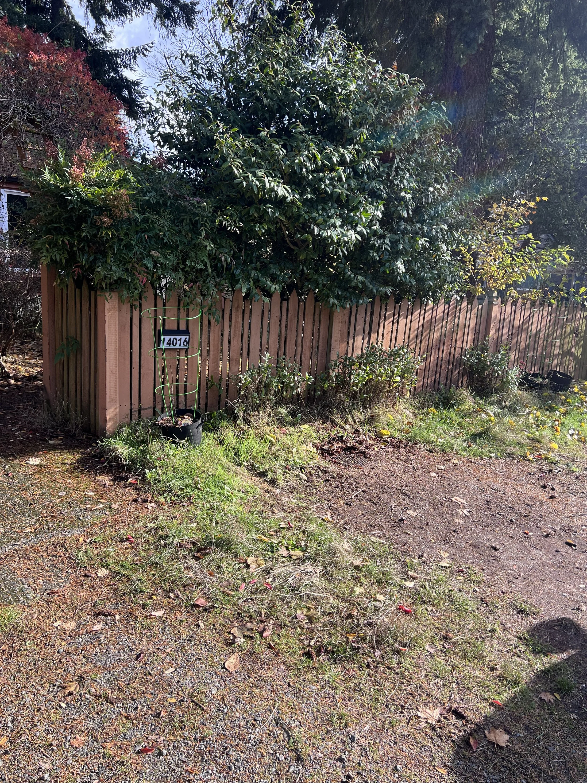 Front of property before cleanup