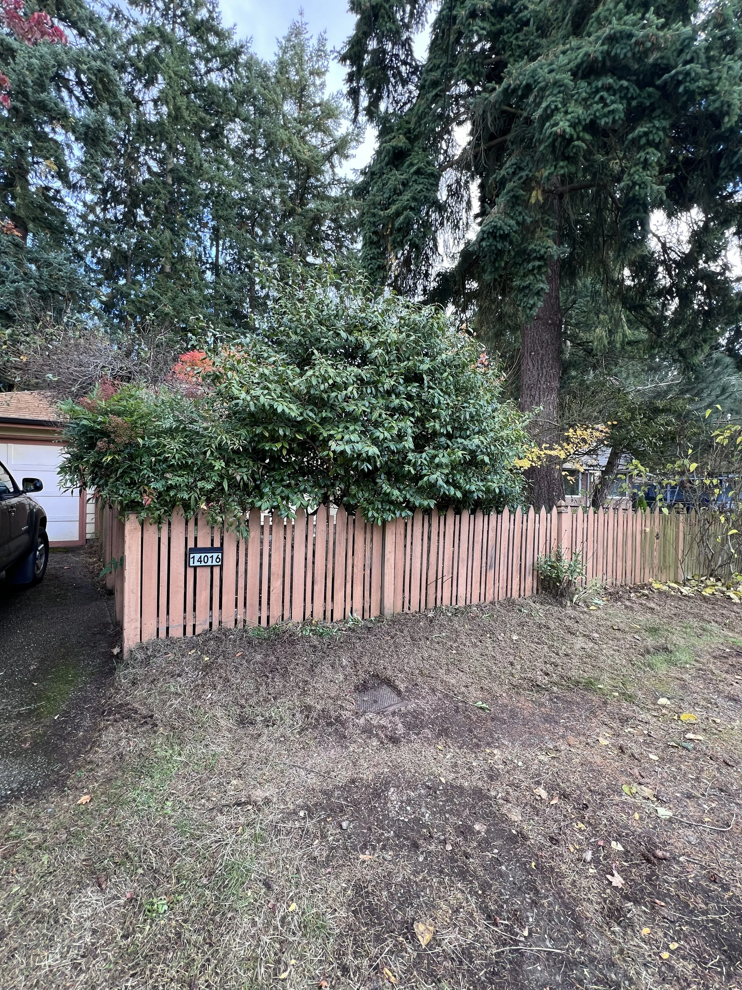 Front of property after cleanup