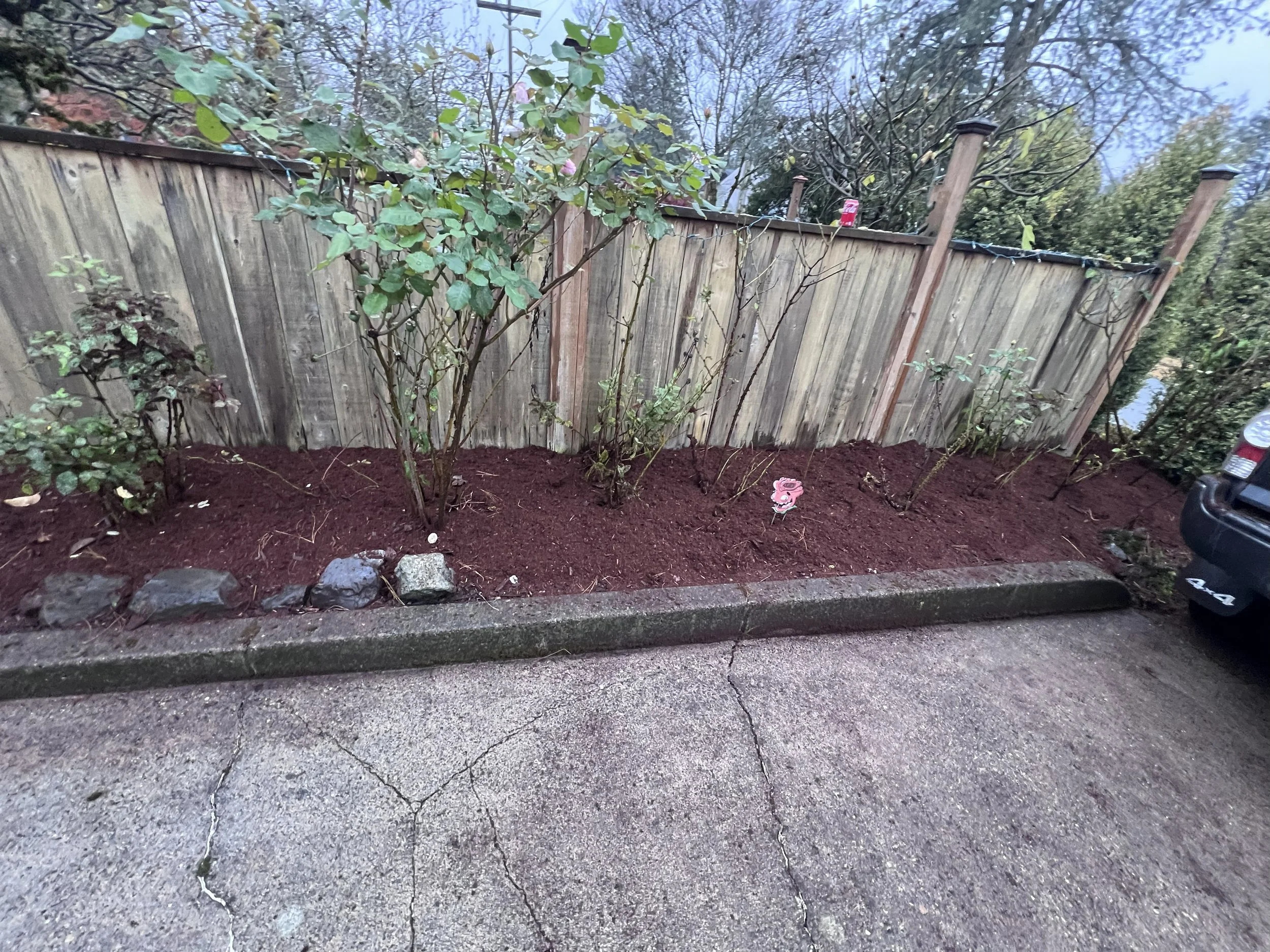 Flower bed after mulching