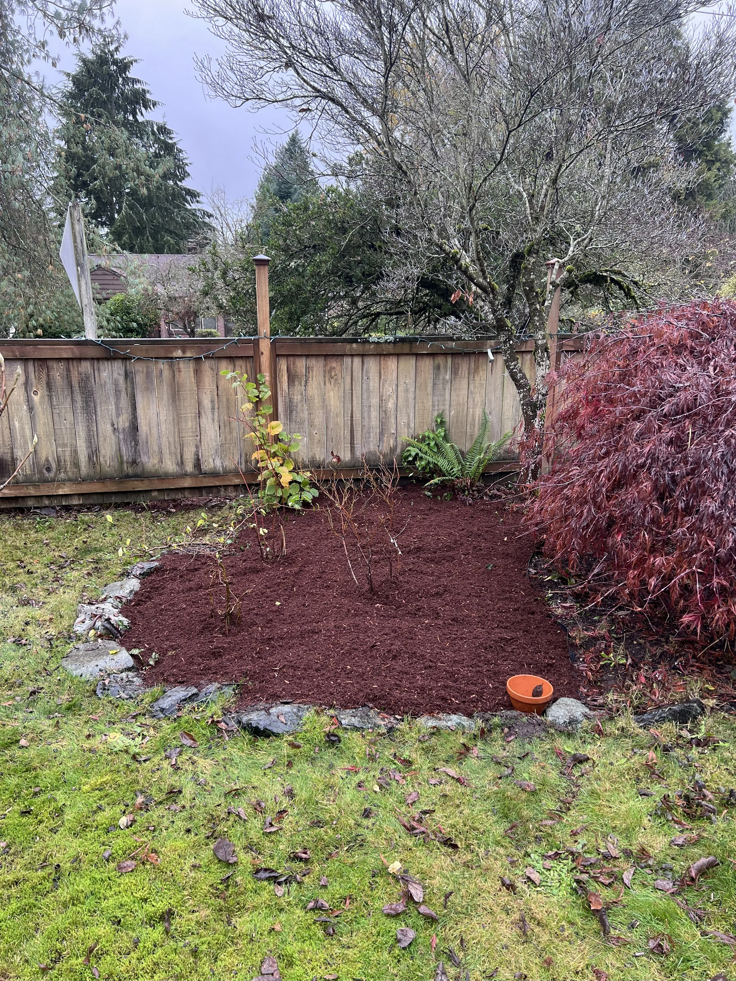 Freshly mulched flower bed
