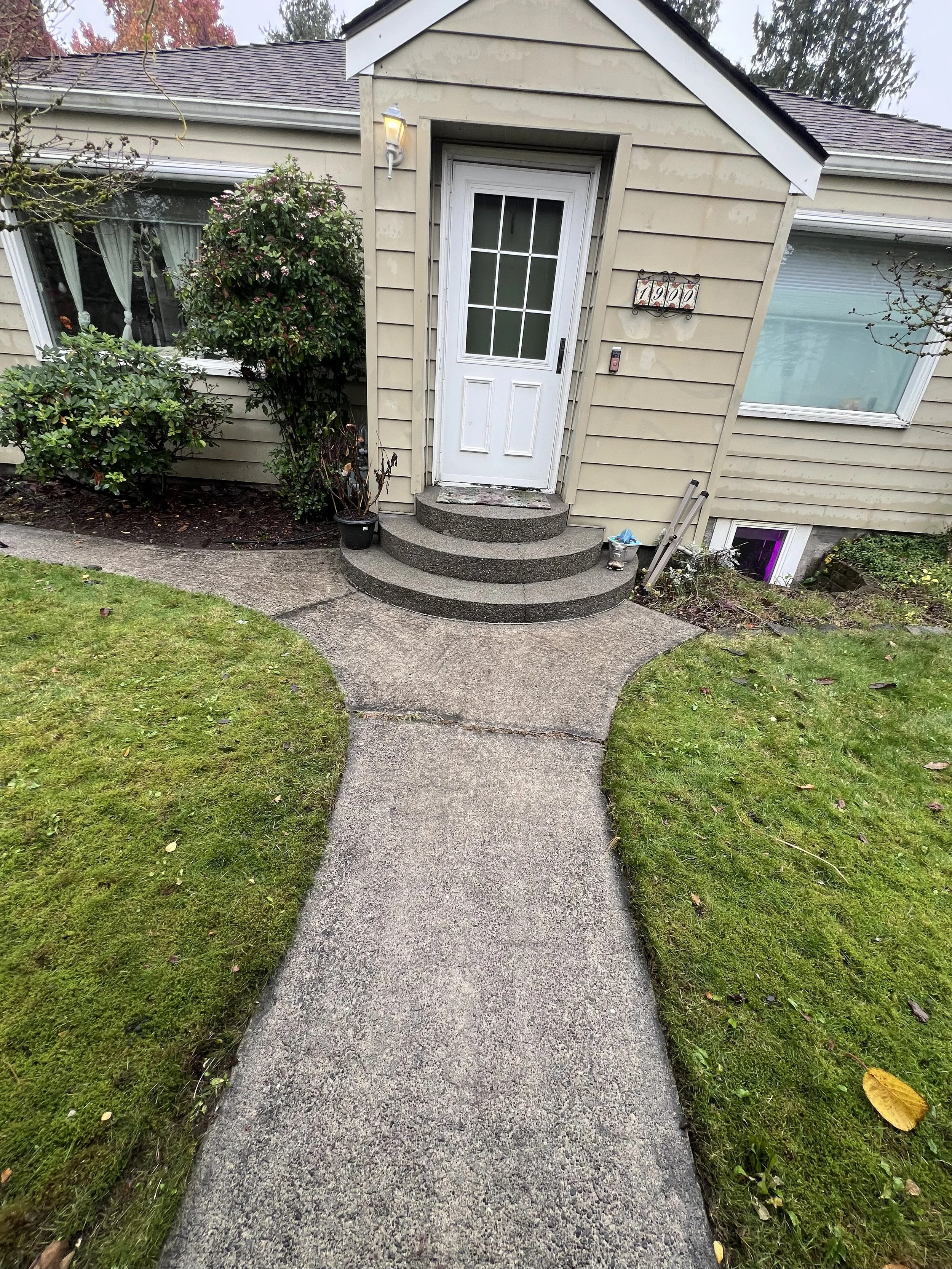 Walkway before cleaning and repair