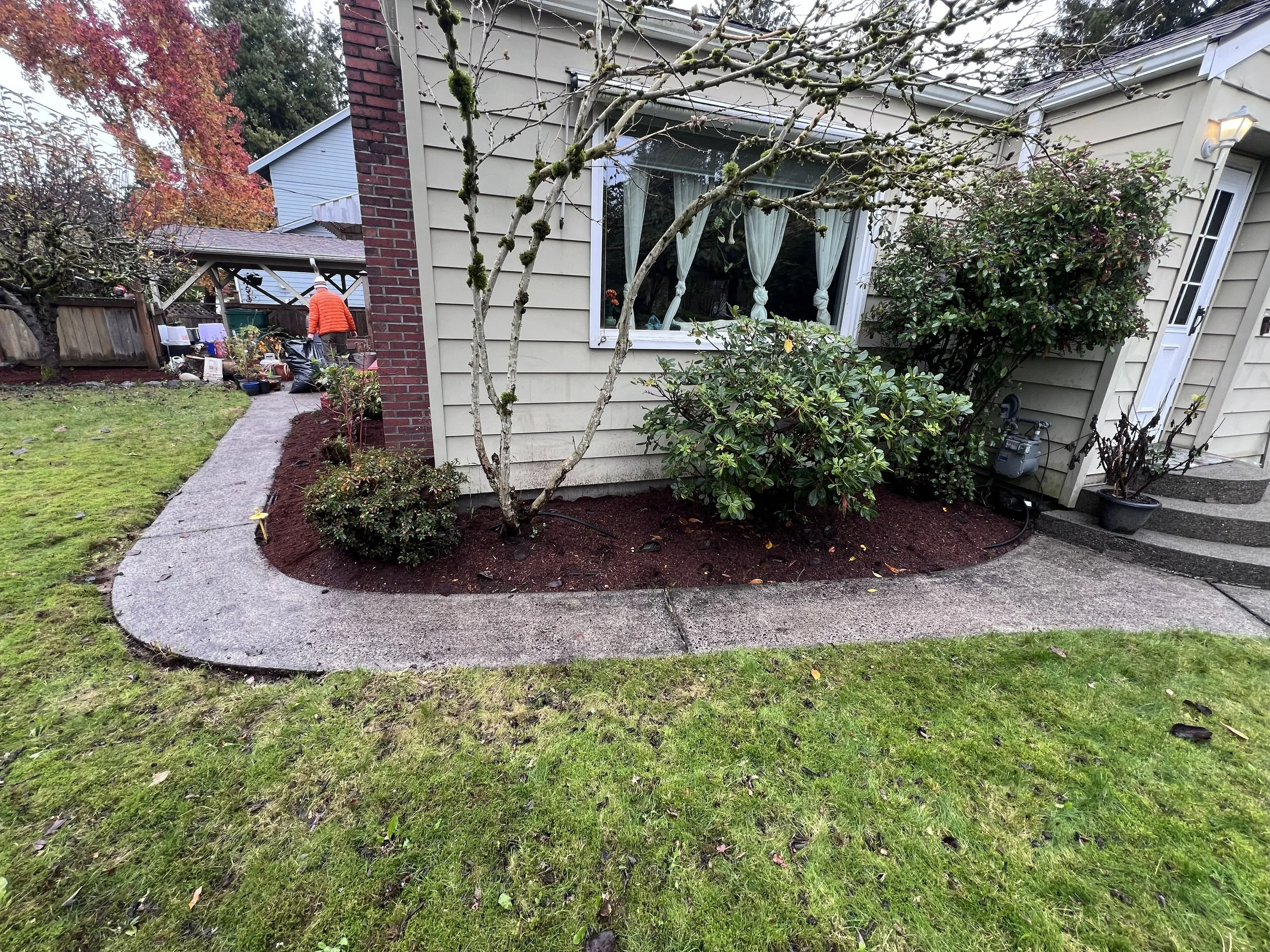 Walkway after mulch