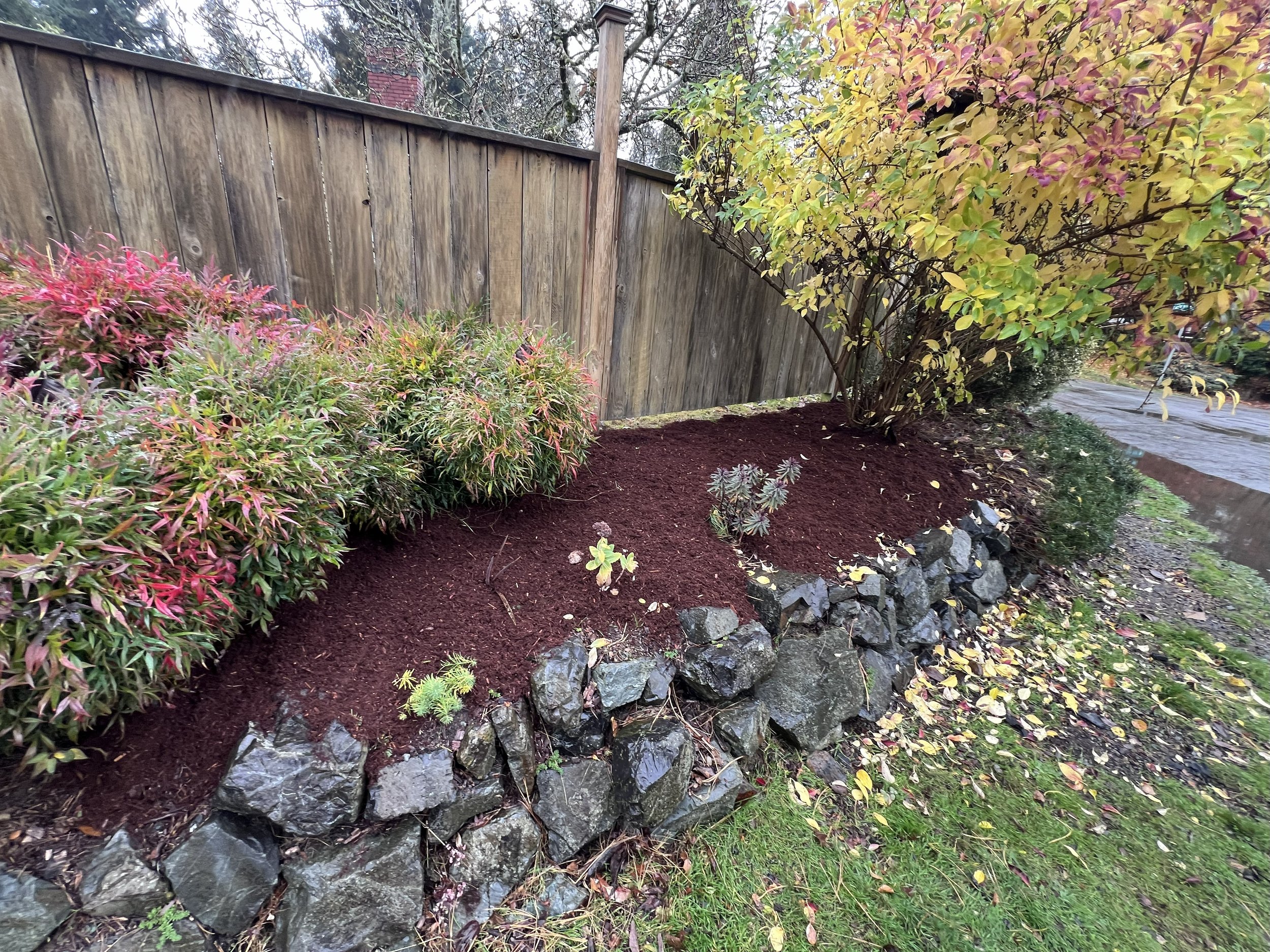 Freshly mulched flower bed
