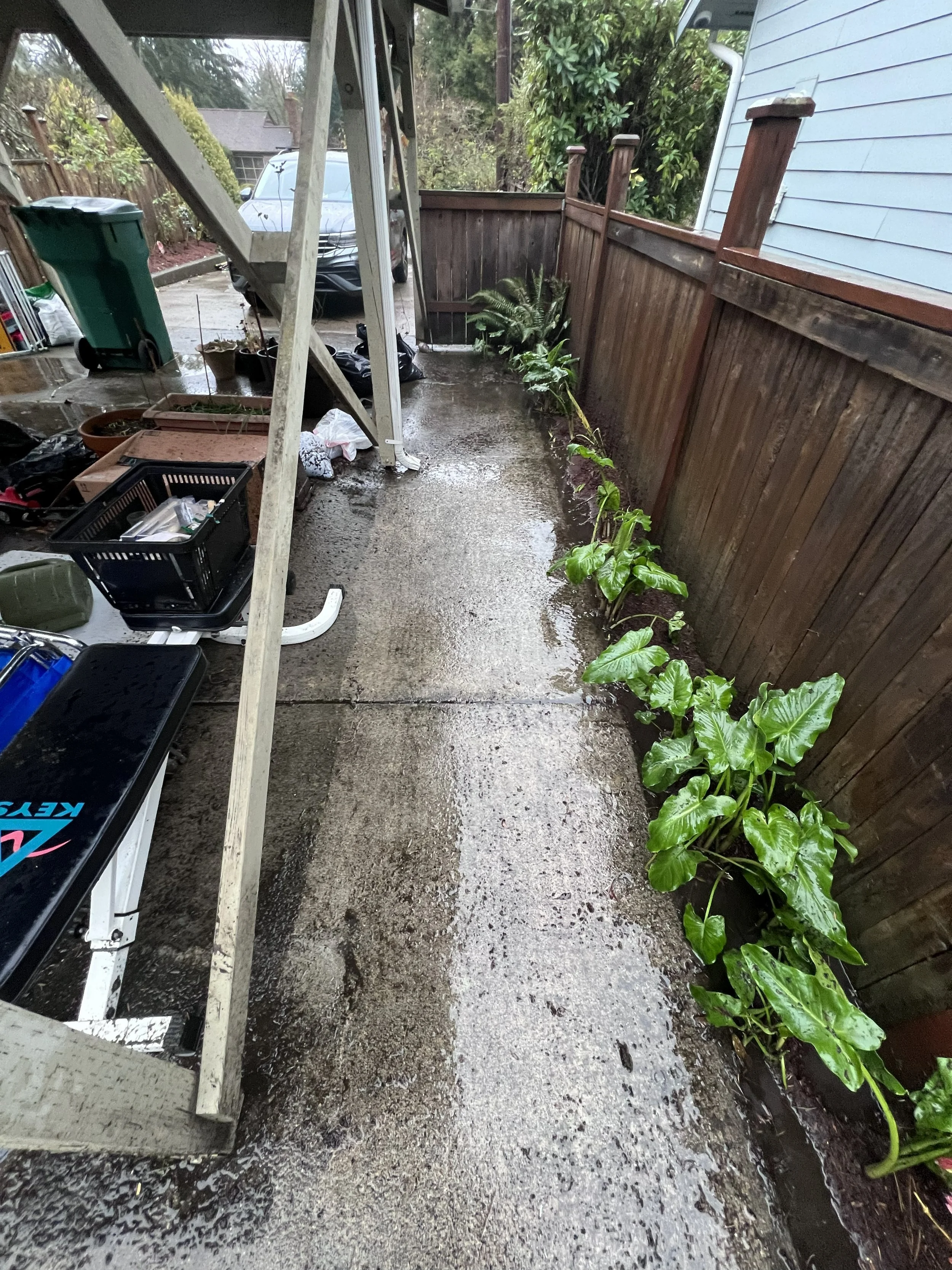 Side walkway after cleanup and pressure washing
