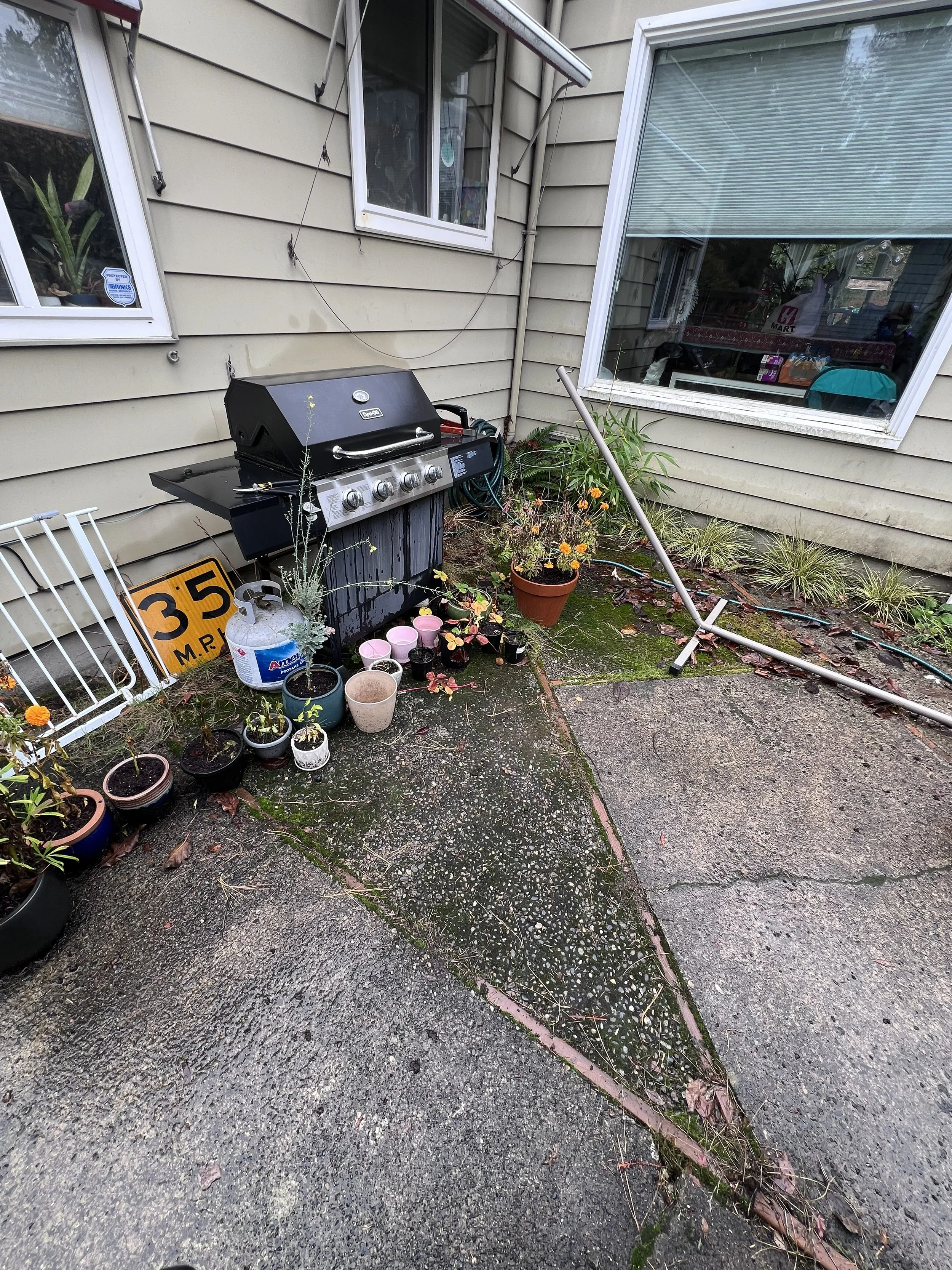 Patio before cleanup and pressure wash